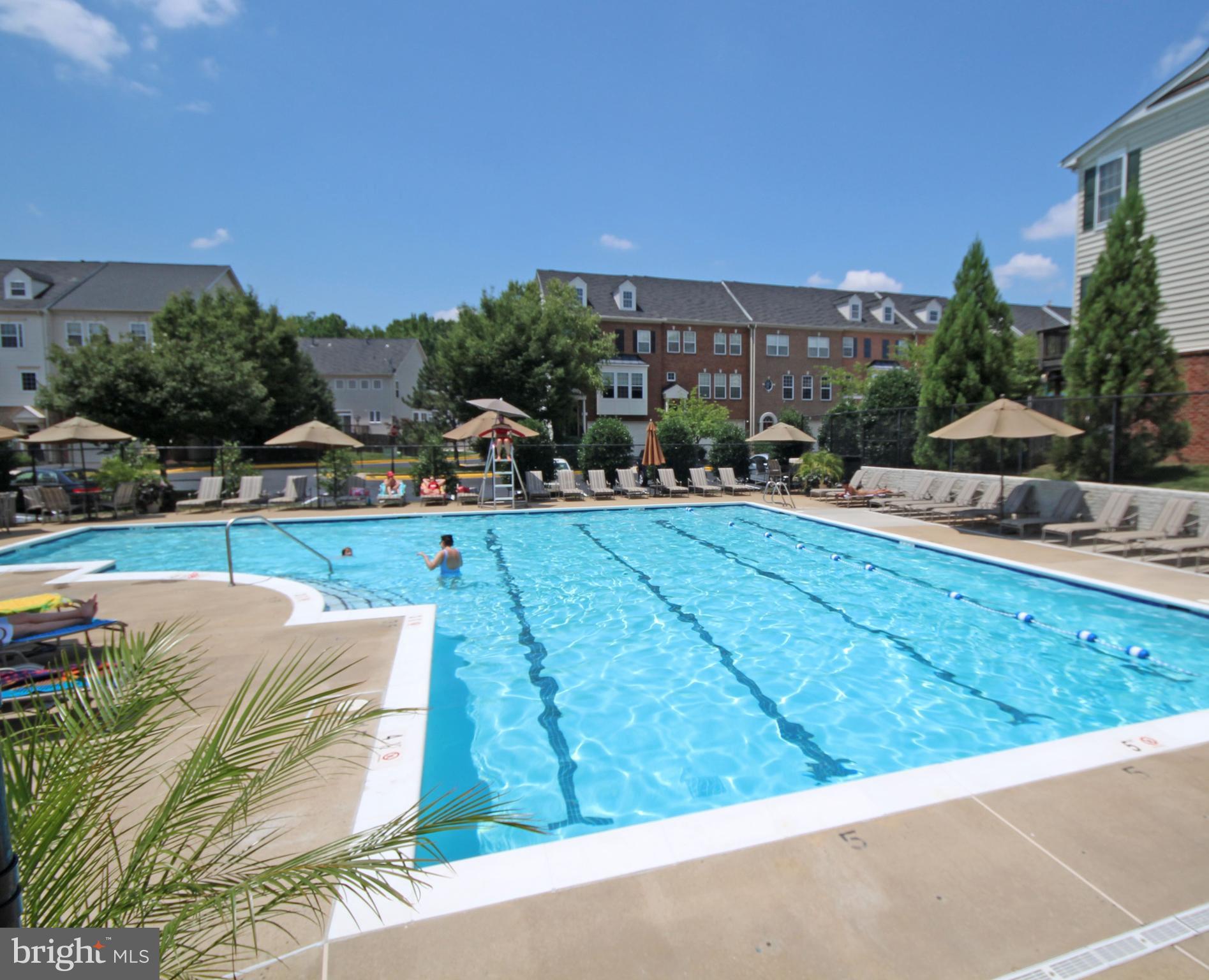 GROVE AT HUNTLEY MEADOWS - Residential