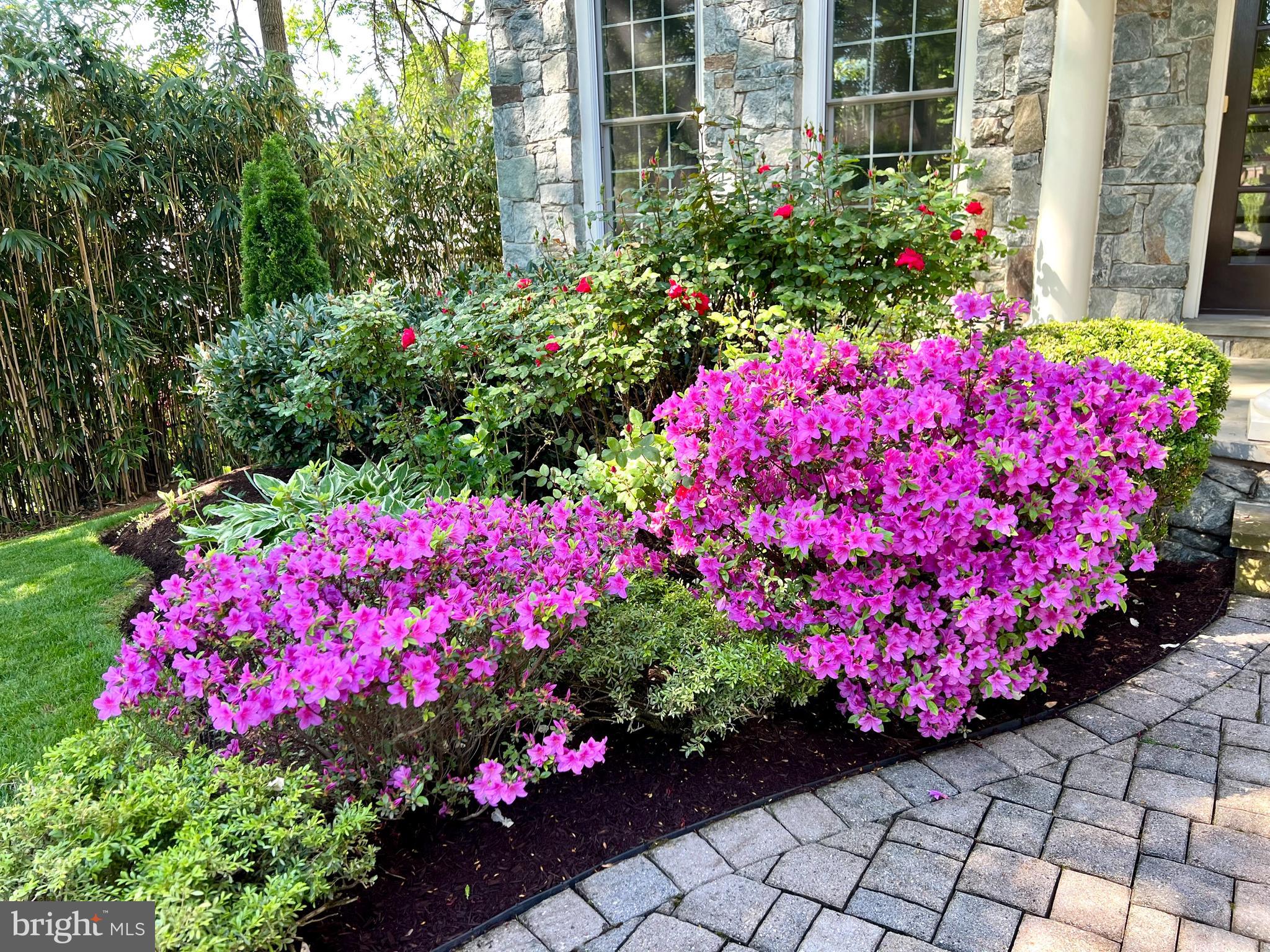 BRADMOOR - Residential