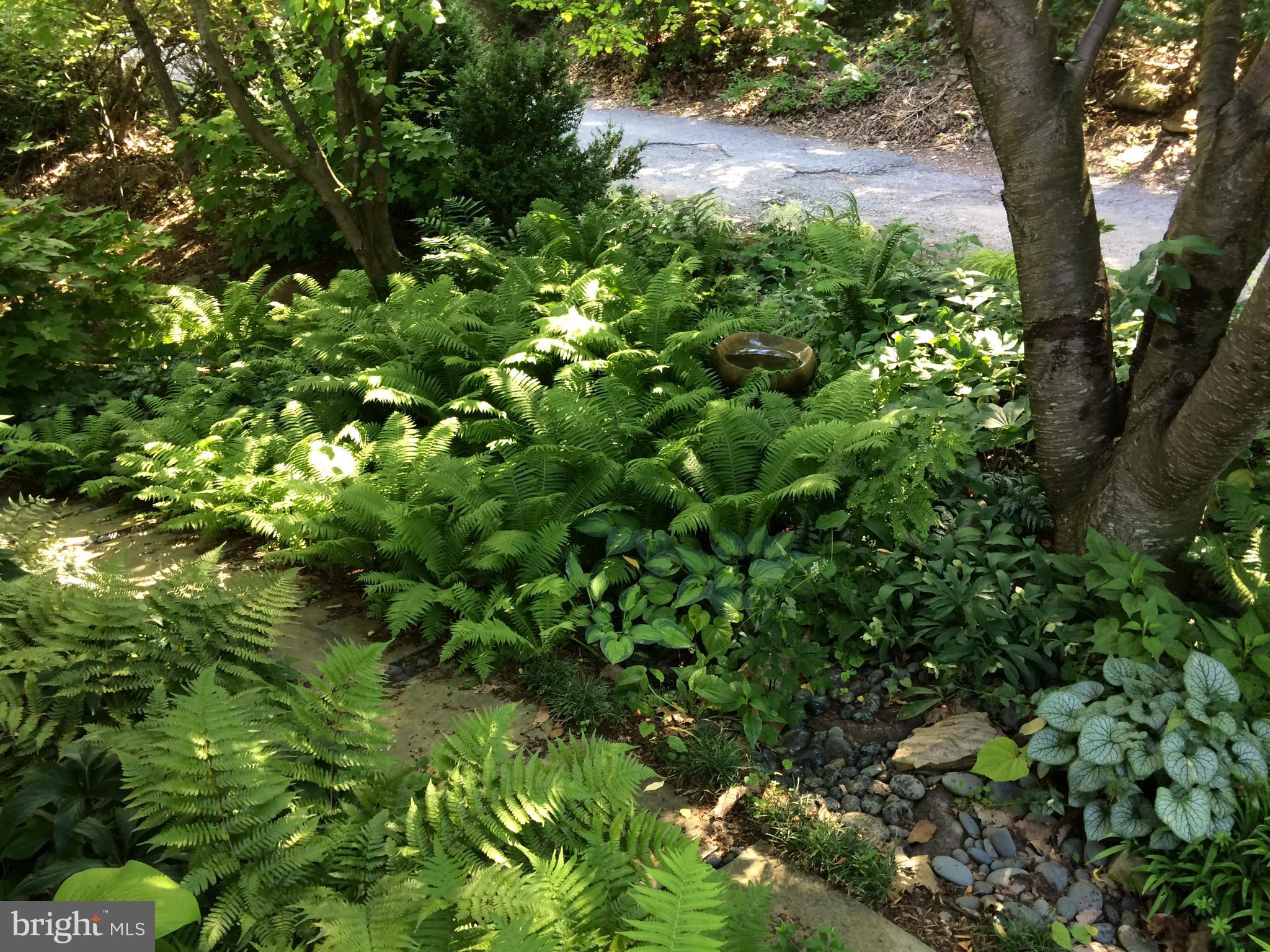 SHANNONDALE - Residential