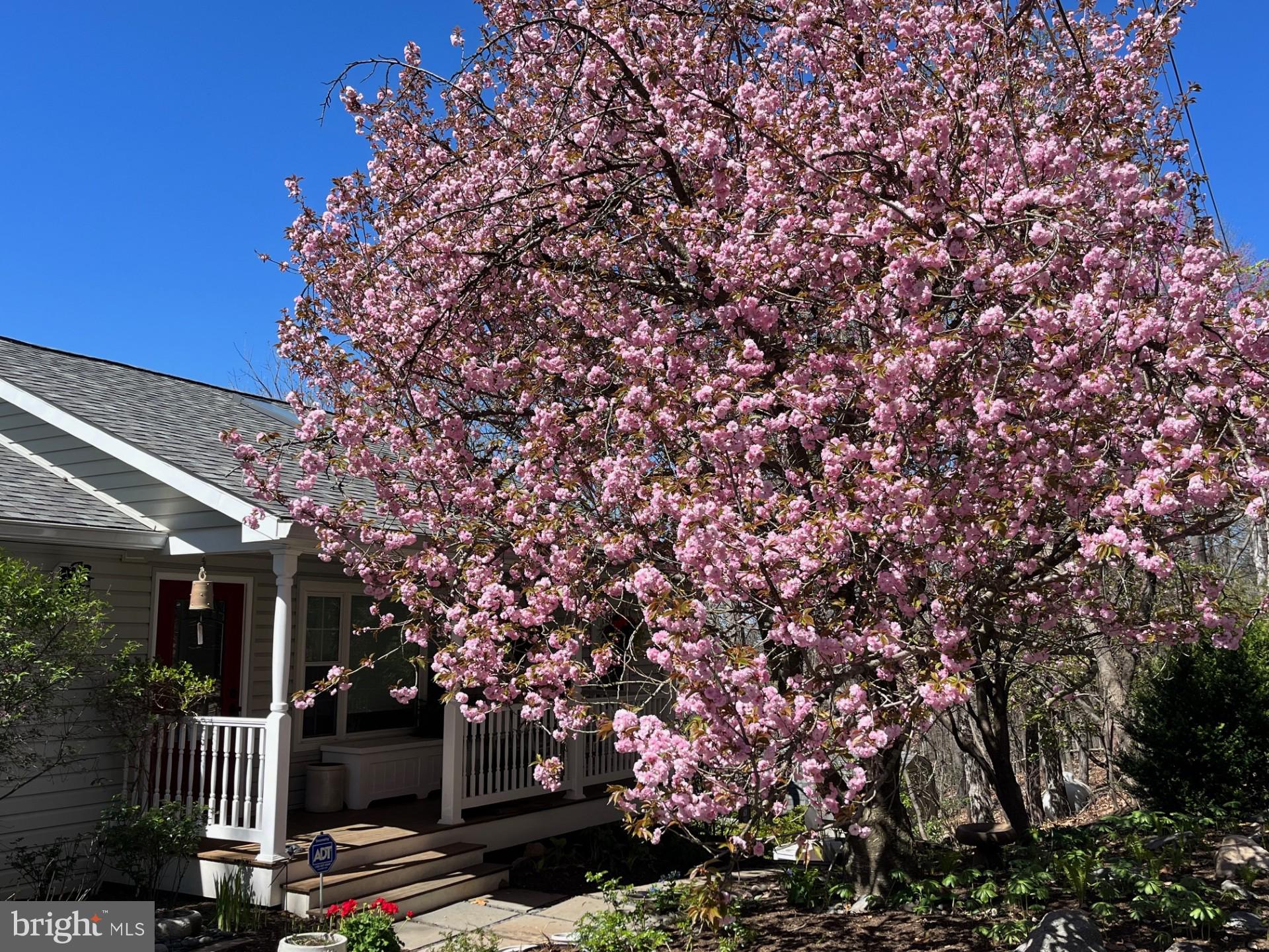 SHANNONDALE - Residential