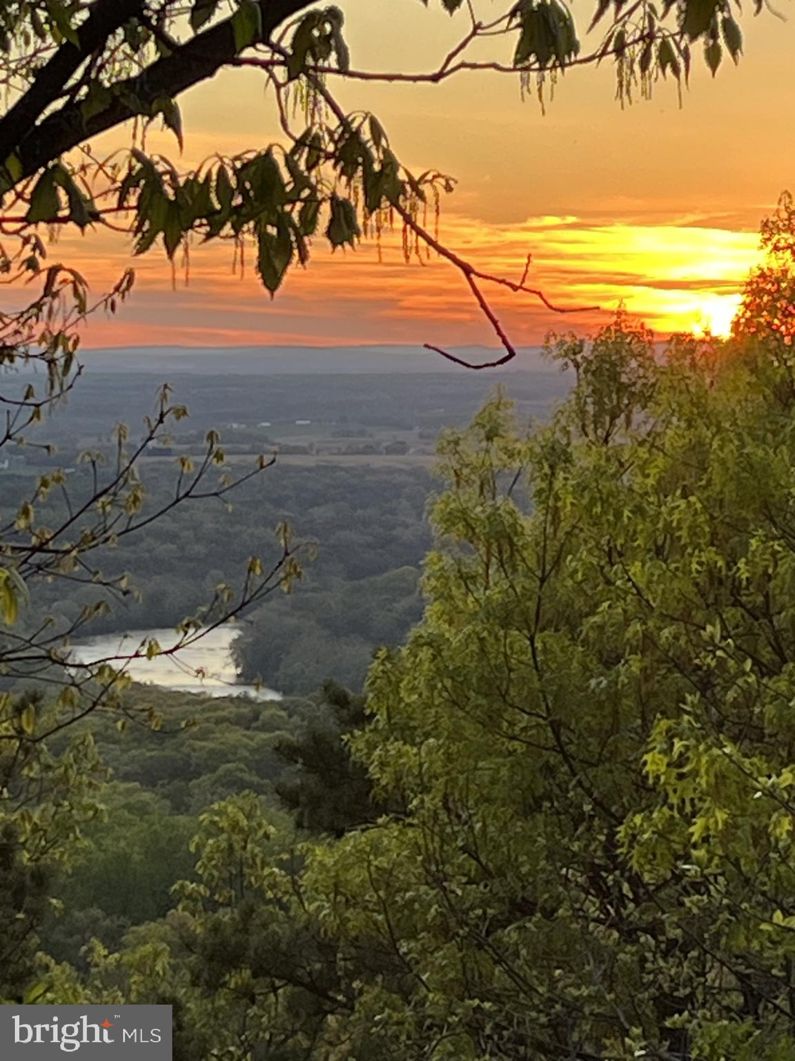 SHANNONDALE - Residential