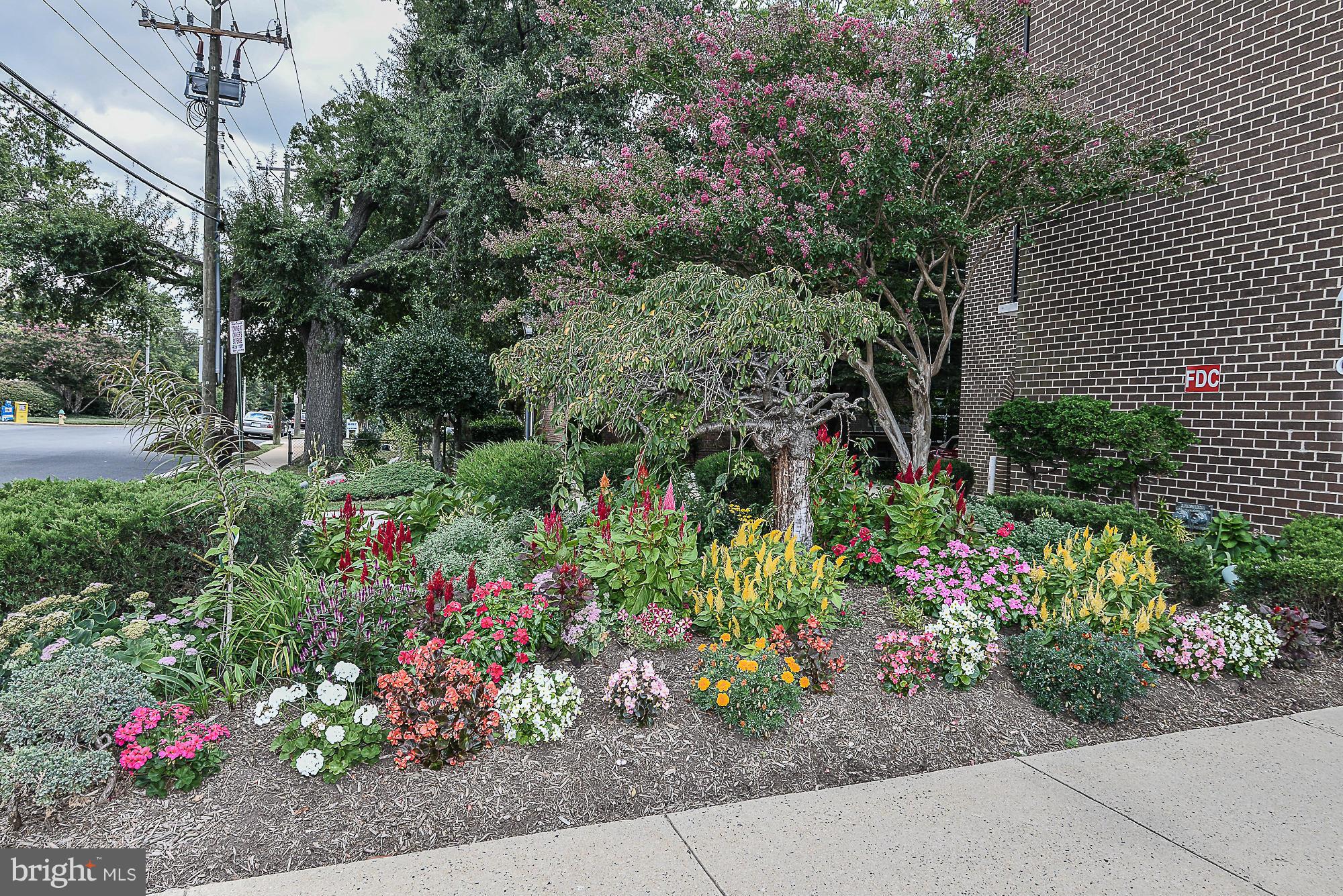 1510 CONDO - Residential