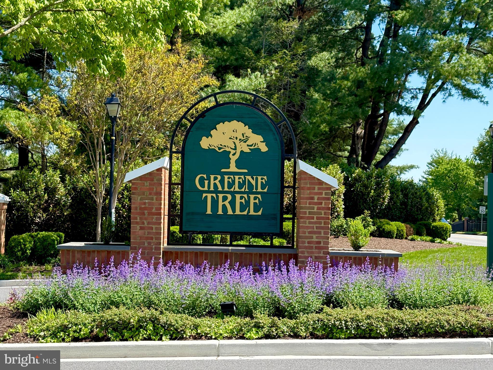 GREENE TREE - Residential