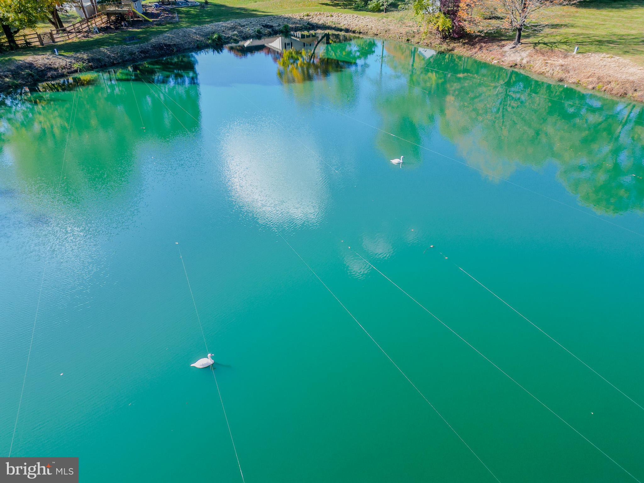 BEAVERBROOK - Residential