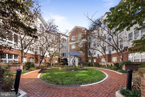 801 S GREENBRIER STREET 304 ARLINGTON VA 22204