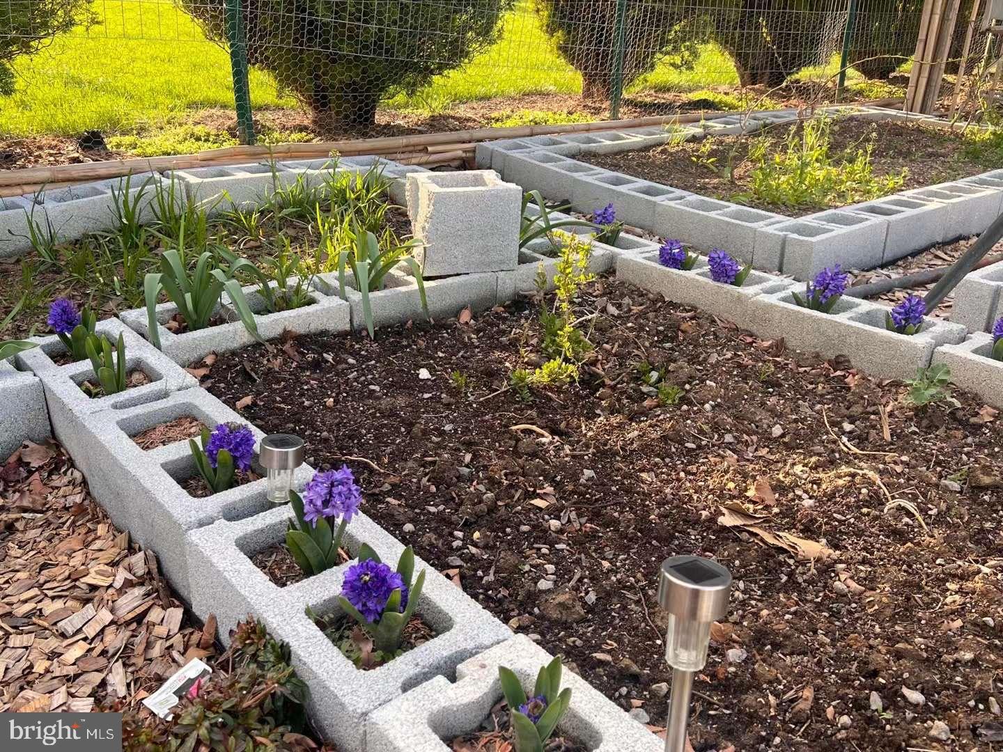 THE PADDOCKS - Residential Lease