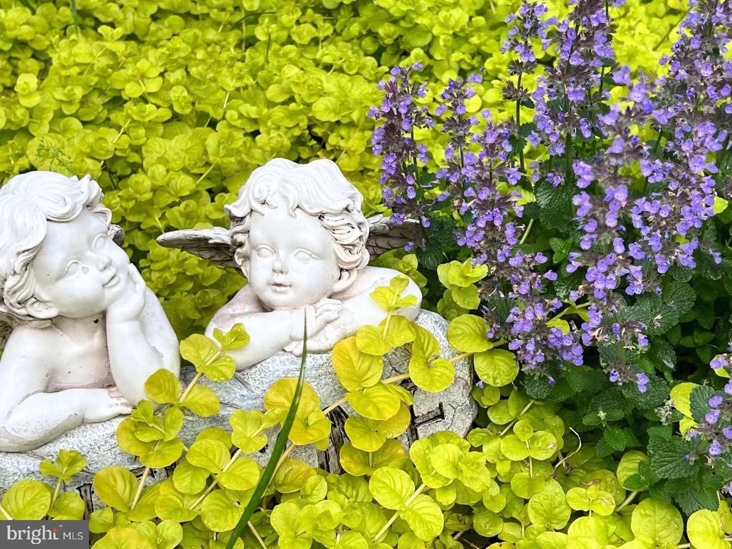 THE PADDOCKS - Residential Lease