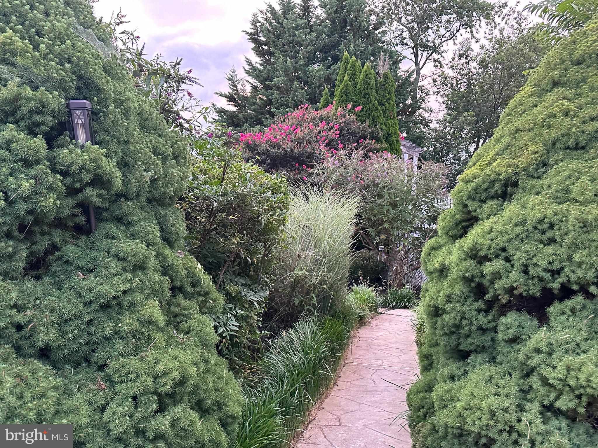 THE PADDOCKS - Residential Lease