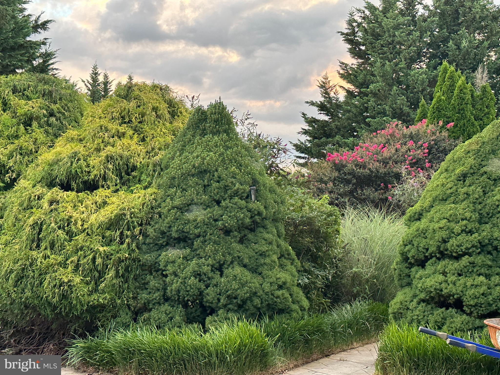 THE PADDOCKS - Residential Lease