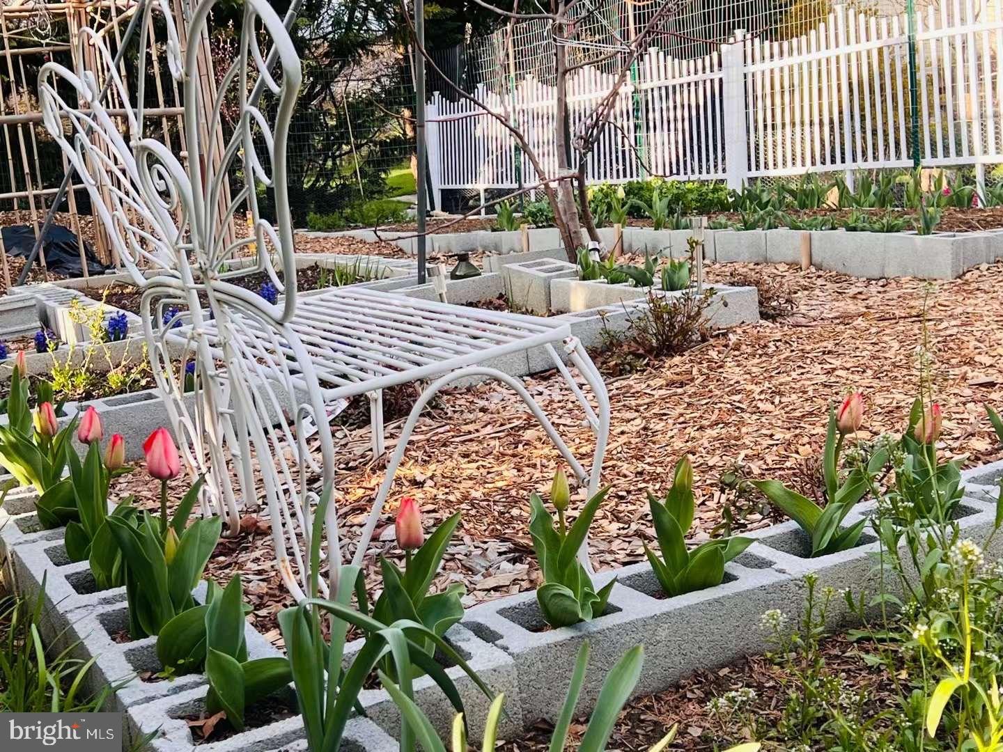 THE PADDOCKS - Residential Lease