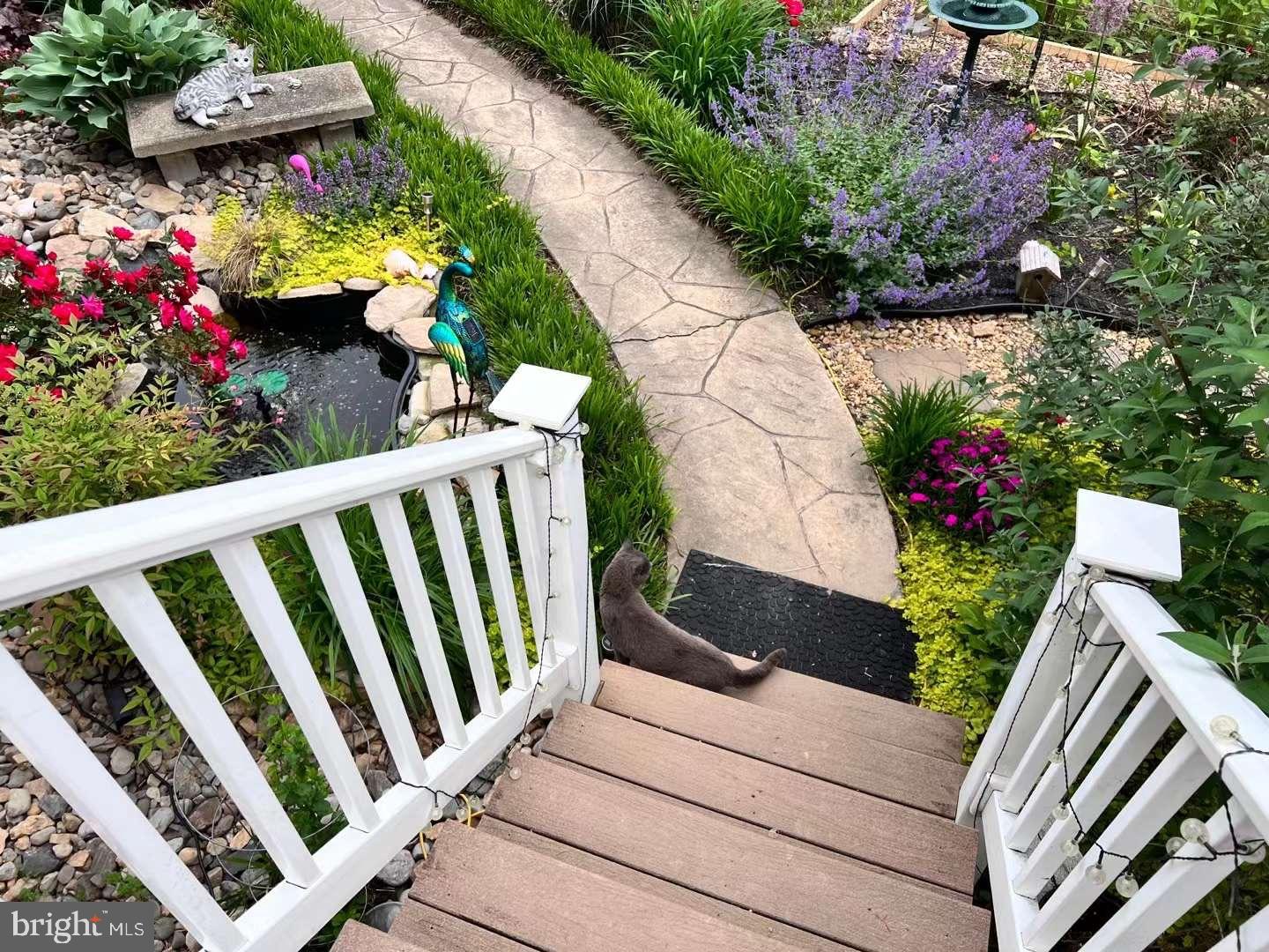 THE PADDOCKS - Residential Lease