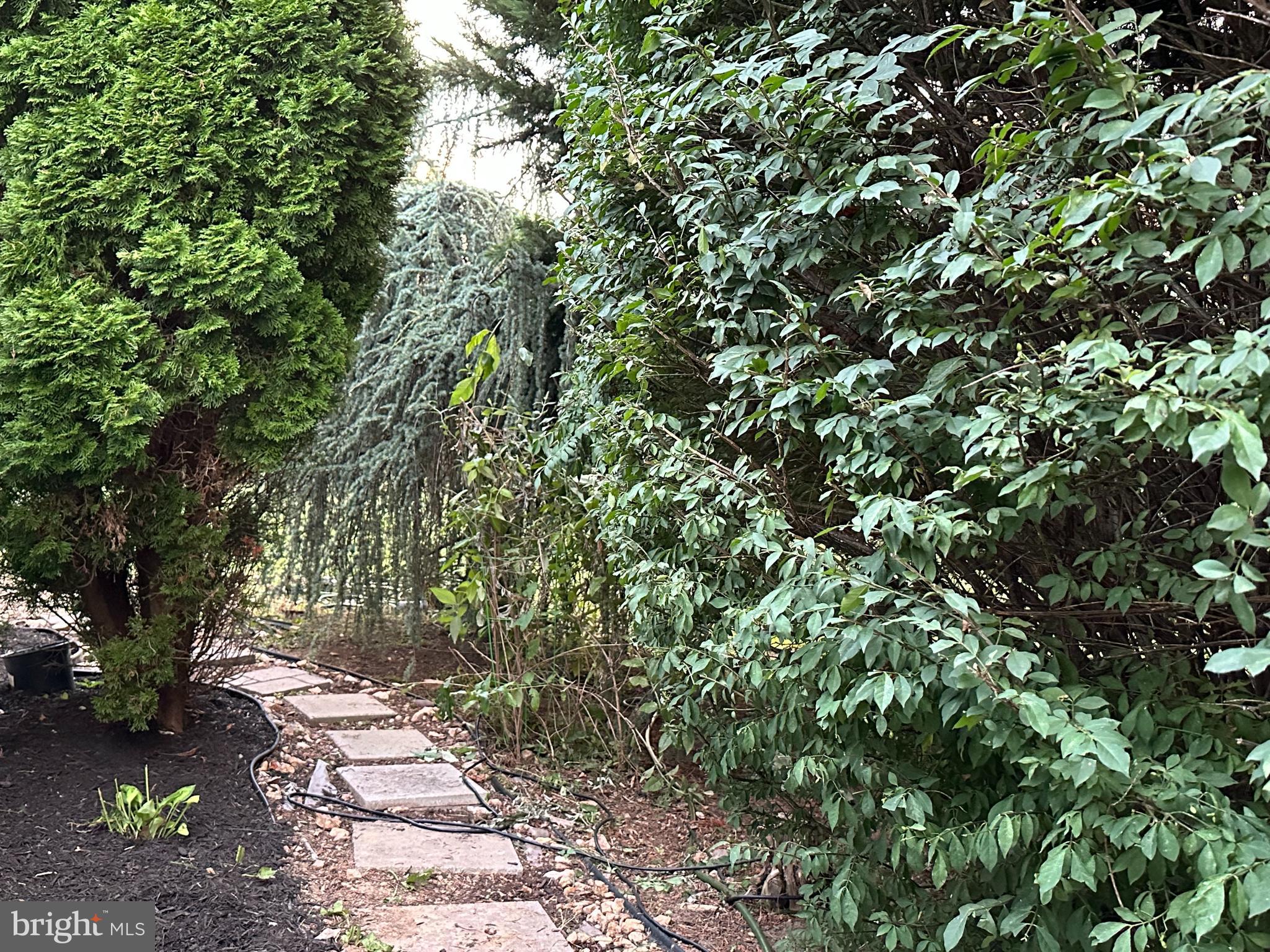 THE PADDOCKS - Residential Lease