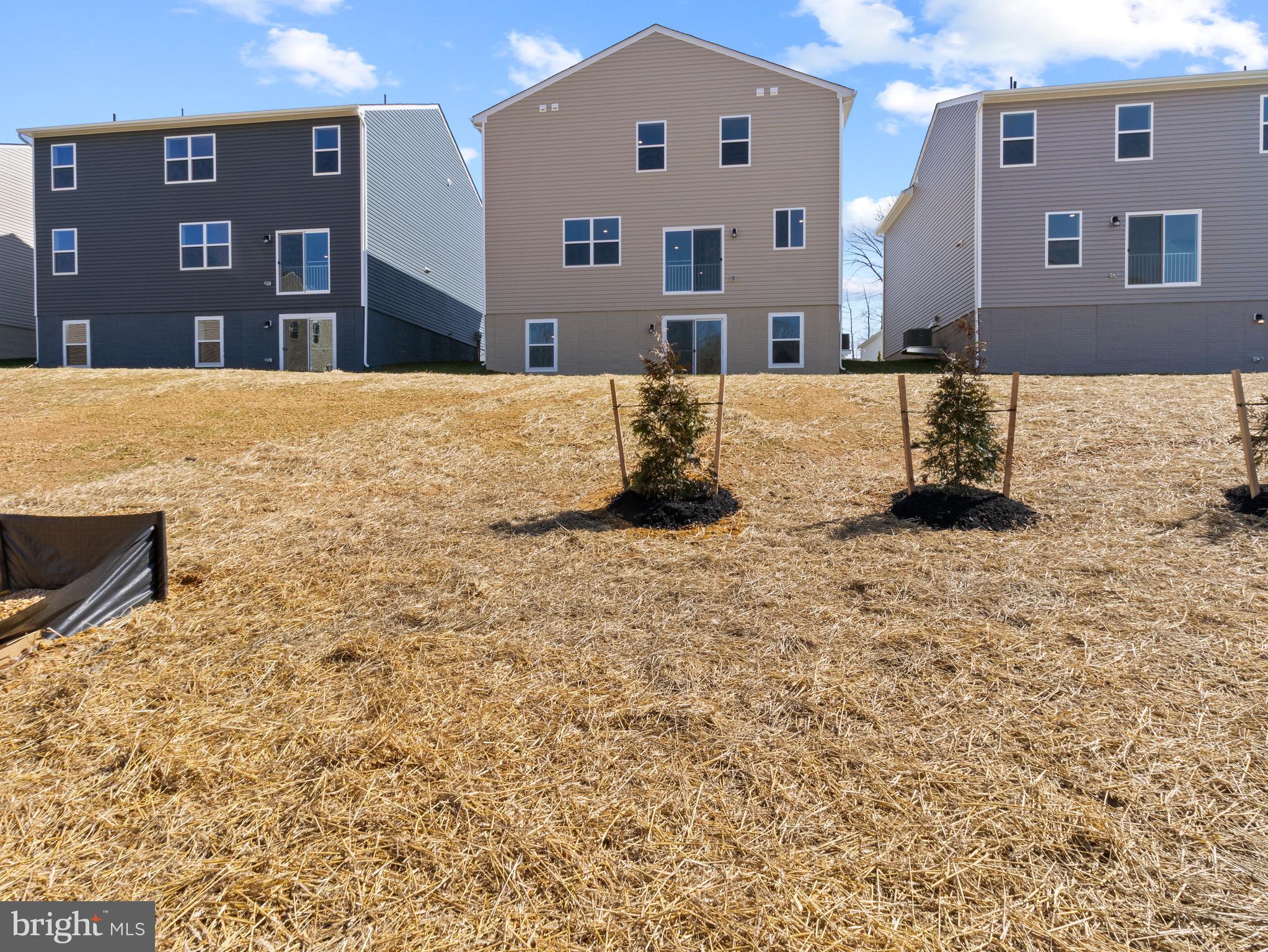 RIDGELY'S RESERVE - Residential