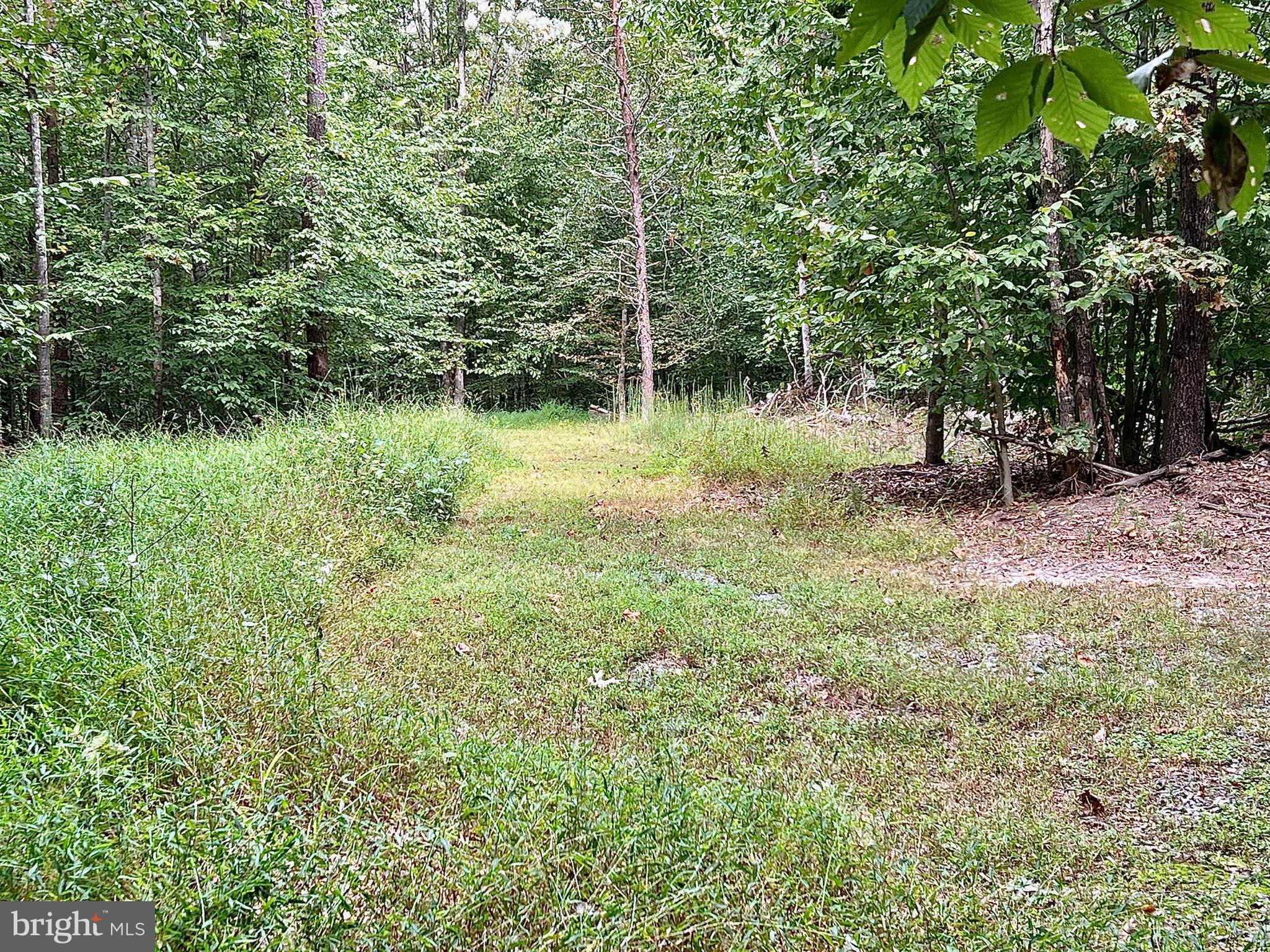 S. BLUE RIDGE TURNPIKE