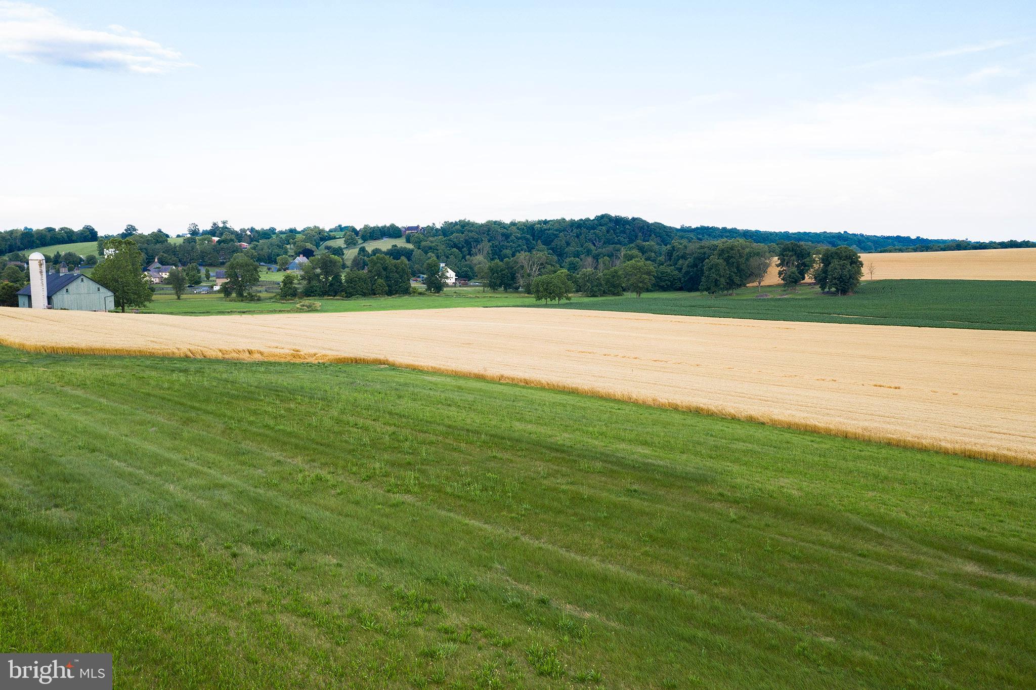 HILLS OF JAMESFIELD MANOR - Residential