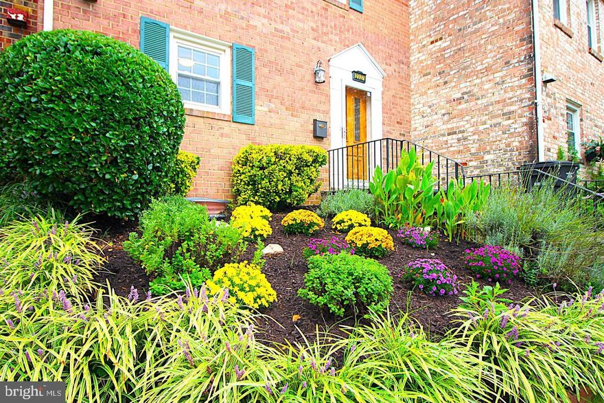 Dec 1st! FANTASTIC UPDATED TOWNHOME BACKS TO CHAMBLISS PARK! Incredible, Quiet Cul-de-Sac Location, Blocks from I-395! Three Bedroom/Three Bath!  Sundrenched, Designer Kitchen, Sleek Black Appliances/Granite, Artistic Tile Backsplash!  Proper Dining Room, Sunroom Addition off Living Room Opens to Fully Fenced Rear! WARM GENUINE HARDWOODS MAIN! WELCOME FAMILY AND FRIENDS, Foyer with Curved Staircase, Upper Level Bedrooms now with Neutral Paint!  Ensuite Primary Bedroom with Cozy Carpet, Tranquil Second and Third Bedrooms with Easy to Clean Hardwoods!  Fully Finished Lower Level, Full Bath, and Wet Bar.  COMMUTER DREAM HOME, EASY to Shirlington/GWParkway/Old Town/Metro/Pentagon/Capitol Hill/Ballston-Courthouse/Airport (DCA)/Multiple Parks and Trails/Array of Restaurants, Coffee and Daily Amenities.  EASY ONLINE APPLICATION!  Ask Your Realtor for Details!