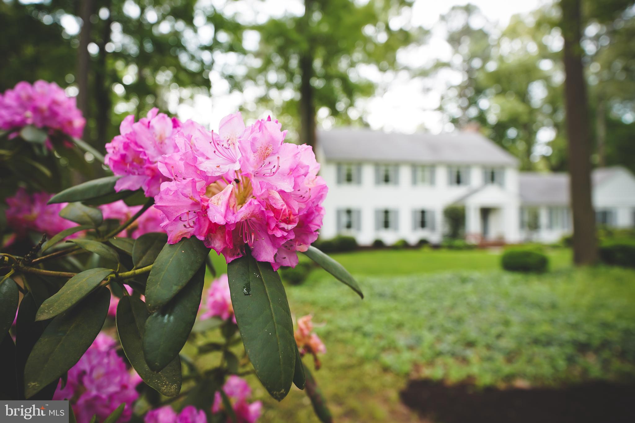 29745 JACKSON ROAD, SALISBURY, MD, 21804 29745 JACKSON ROAD