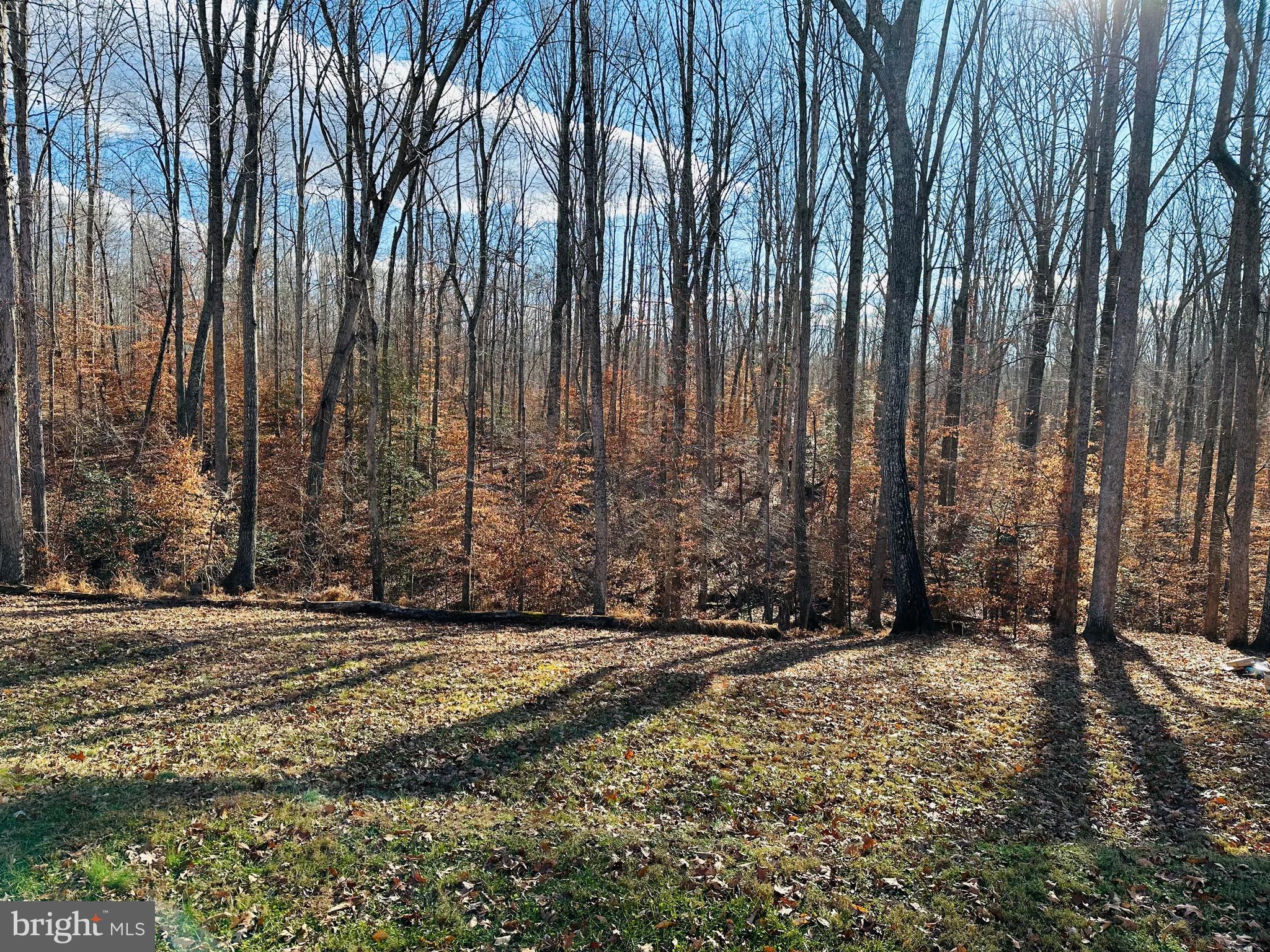 HOLLY CORNER ESTATES - Residential