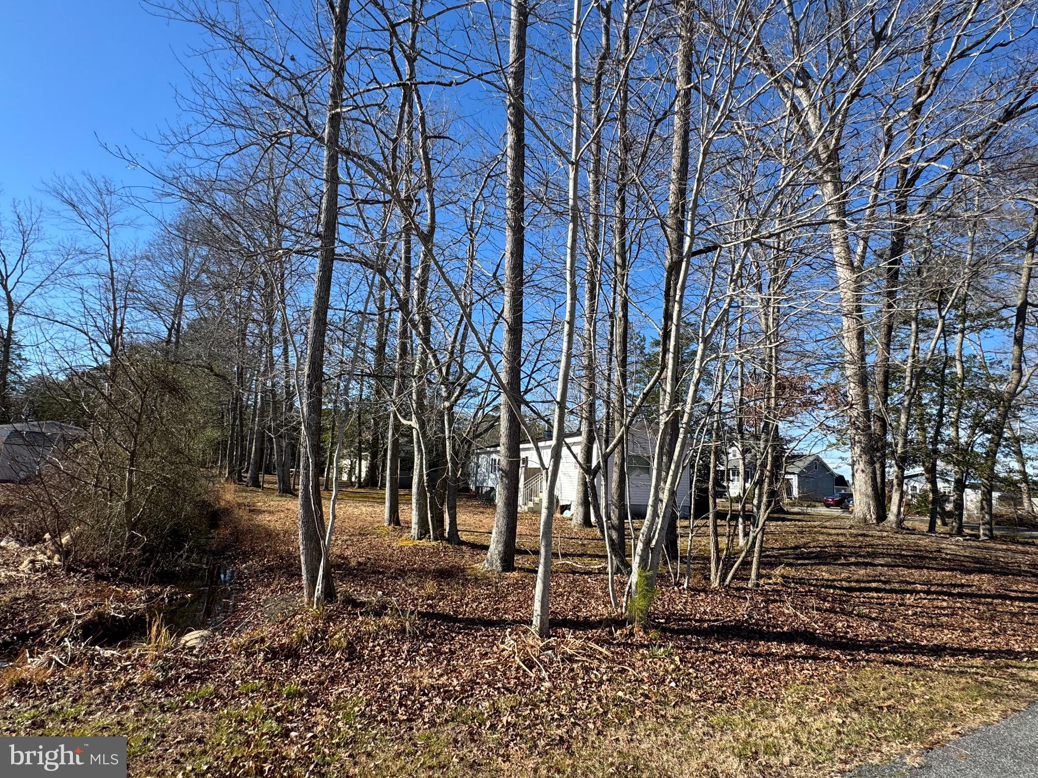 37145 E WHITE TAIL DRIVE