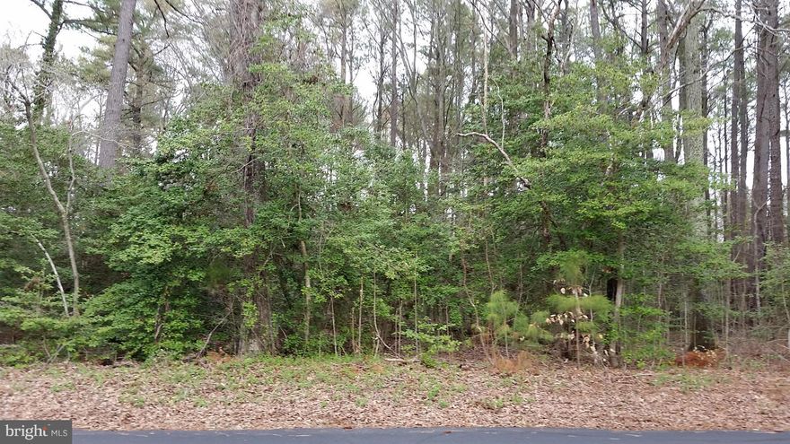 Great Recreational Wooded Lot in a centralized location. Plenty of Recreation in Historic Southern MD. Close to Cove Point Park, Lake Vista, Drum Point on the Chesapeake Bay, Marinas for Boat Launch, the Naval Recreational Facility, and Solomon s Island Boardwalk and Restaurants. Fishing, crabbing, boating, sailing, hiking, sight seeing, and more are all easy to do from this almost 1/2 acre base.