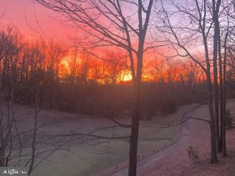 THE WOODS - Residential