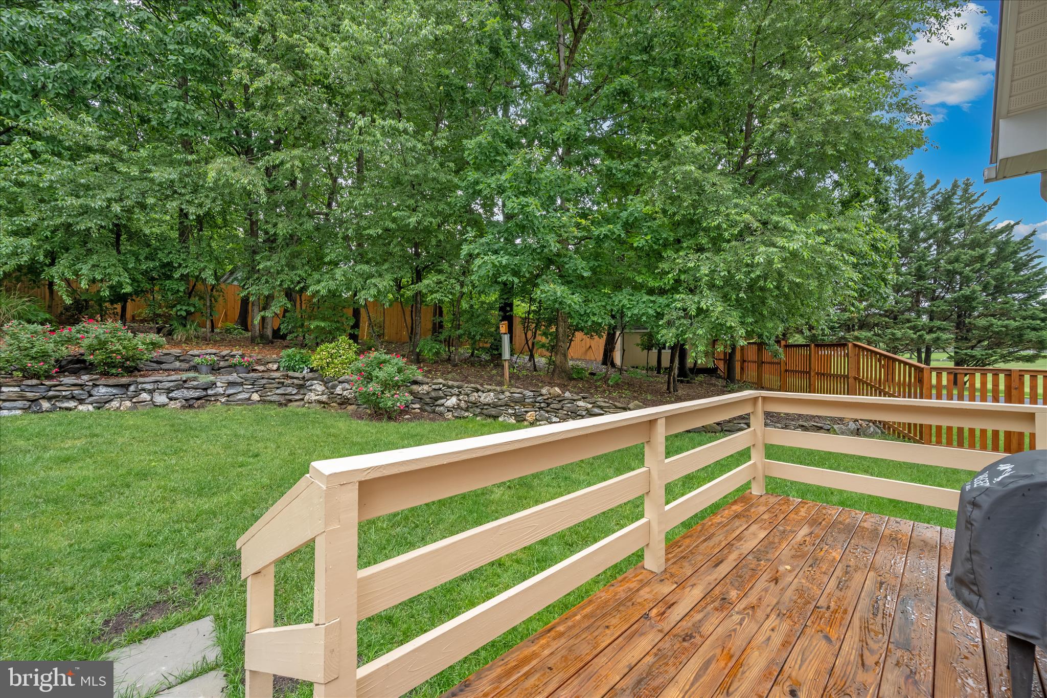 TOLLEY TERRACE - Residential