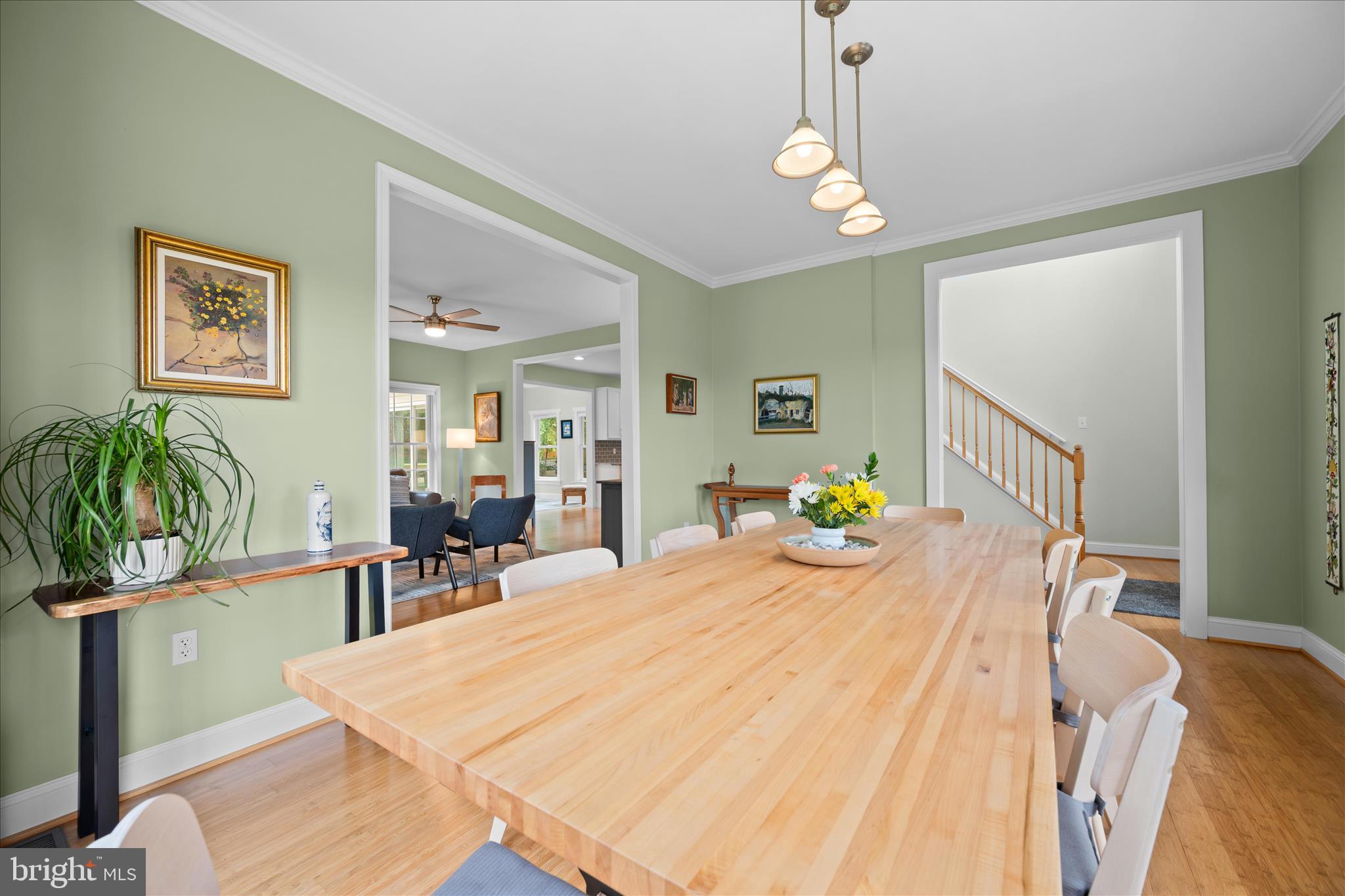 TOLLEY TERRACE - Residential