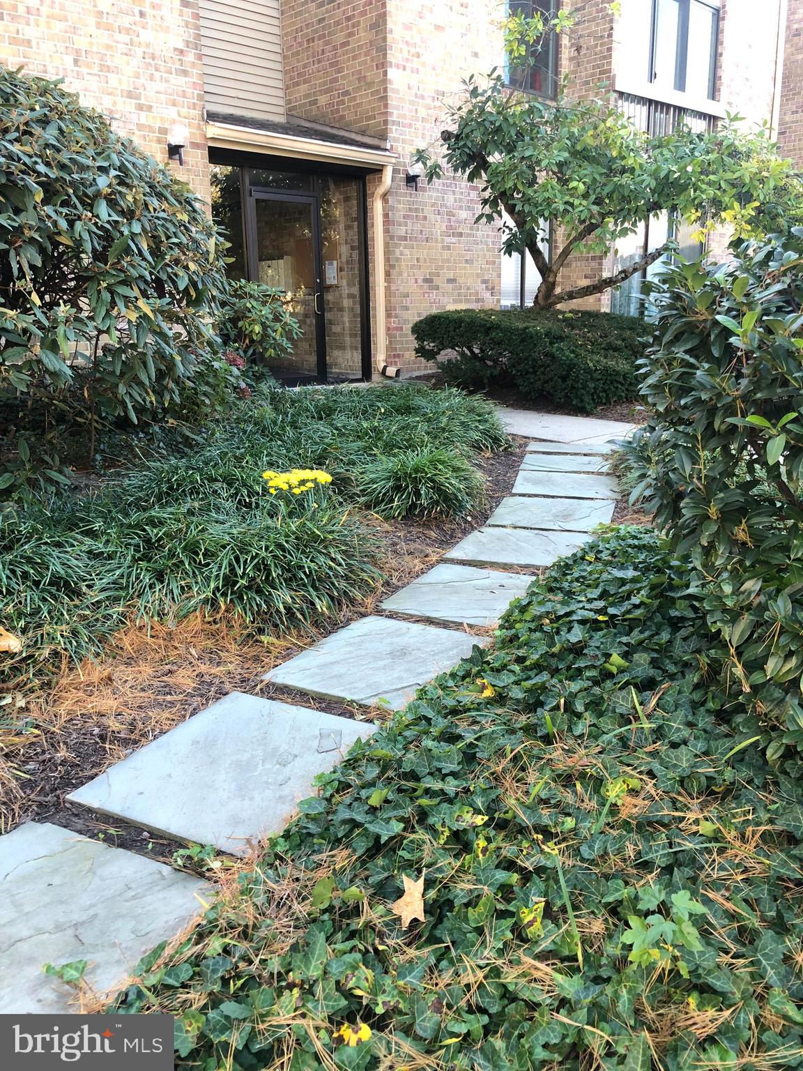 CROSS FOX - Residential