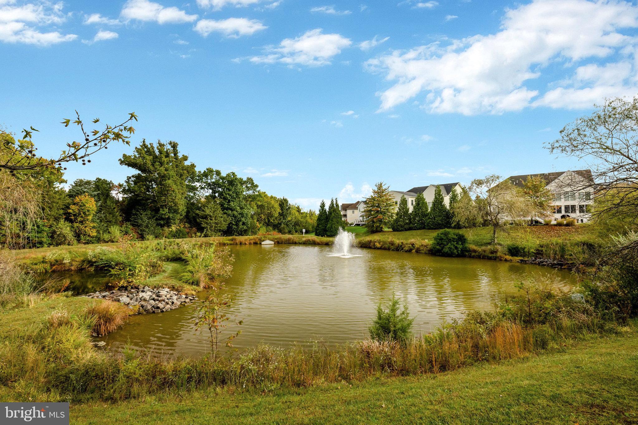 23052 SUNBURY STREET