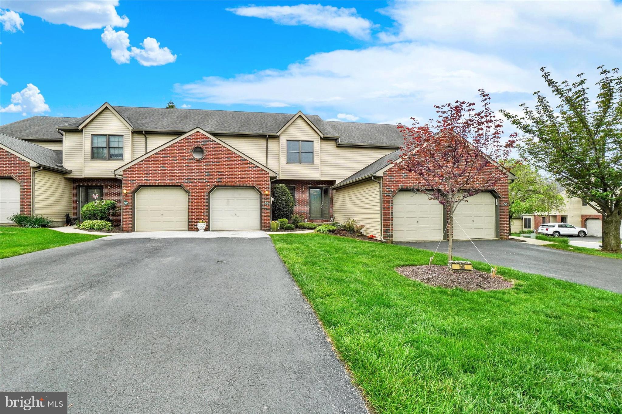 56 JEAN LO WAY