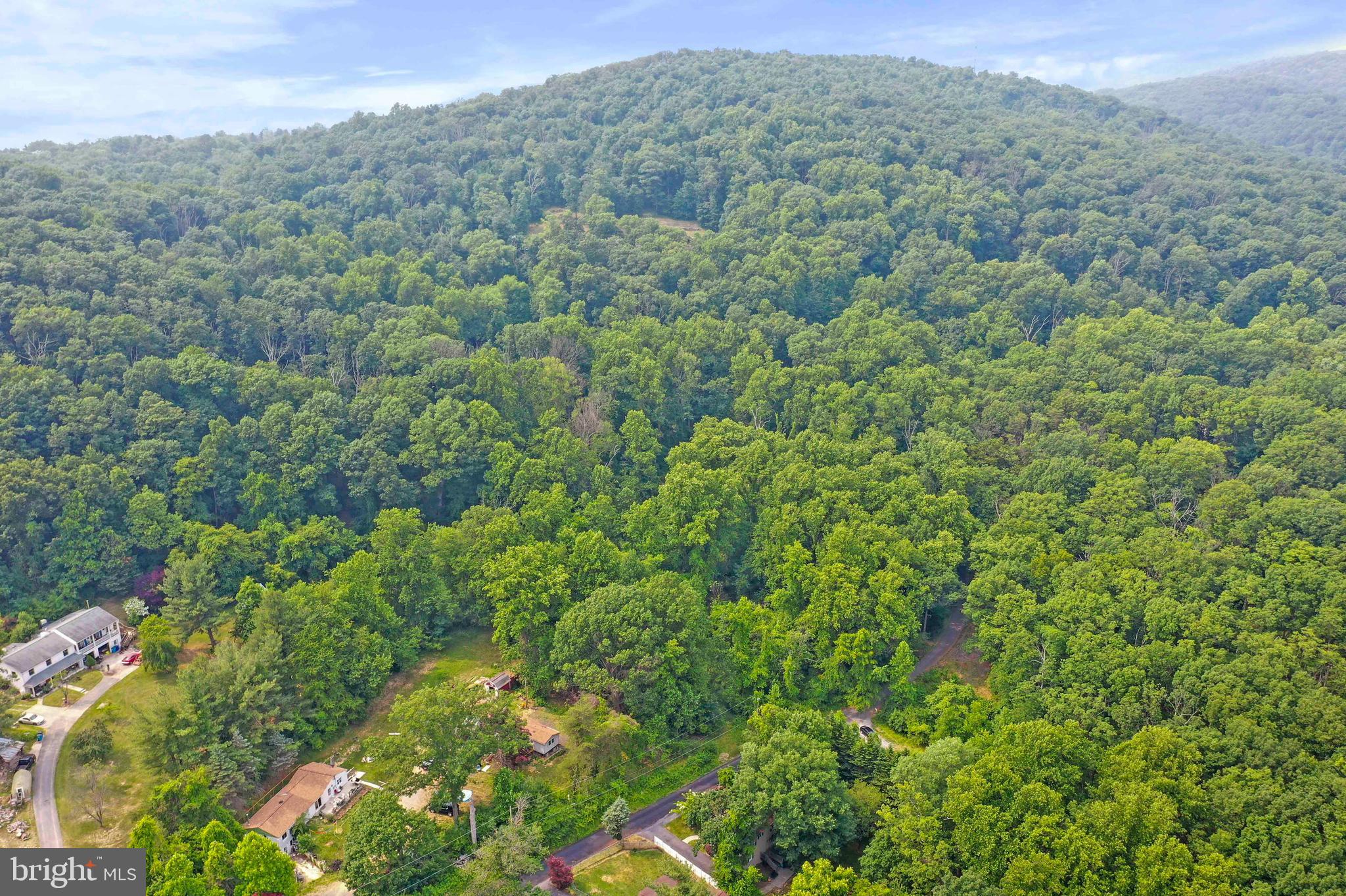 Thinking of building your dream home? This one is a rare find in Frederick County. Over seven acres surrounded by trees creating a private oasis. This lot has a 300 foot well already drilled that produced 20 gallons per minute per the health department documents. Frederick County Health Department docs also show perc approved for a 4 bedroom home (buyer to verify with county). Situated close to Frederick & Middletown and there are NO CITY TAXES. Great opportunity to build on a nice size lot and still be close to shopping and highways.
