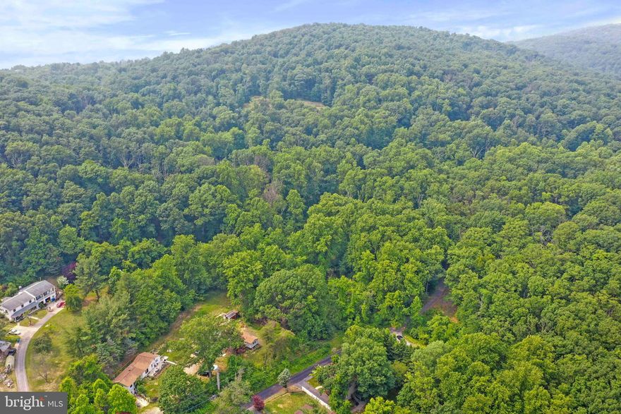 Thinking of building your dream home?  This one is a rare find in Frederick County.  Over seven acres surrounded by trees creating a private oasis.  This lot has a 300 foot well already drilled that produced 20 gallons per minute per the health department documents.  Frederick County Health Department docs also show perc approved for a 4 bedroom home (buyer to verify with county).  Situated close to Frederick & Middletown and there are NO CITY TAXES.  Great opportunity to build on a nice size lot and still be close to shopping and highways.