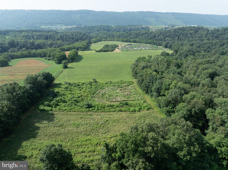 *** ALL OFFERS FOR THIS PROPERTY ARE DUE BY THURSDAY AUGUST 21ST BY 12:00PM (NOON)***
Secluded 50+/- acre tract offering a scenic mix of open and wooded land with panoramic views. Approximately 28+/- acres are open fields currently in hay. Ideal for agricultural use, a recreational getaway, or the perfect spot to build your dream home or cabin. The property is currently used as a bulk compost site—compost and composting equipment are available for purchase. Sale is subject to final subdivision approval.