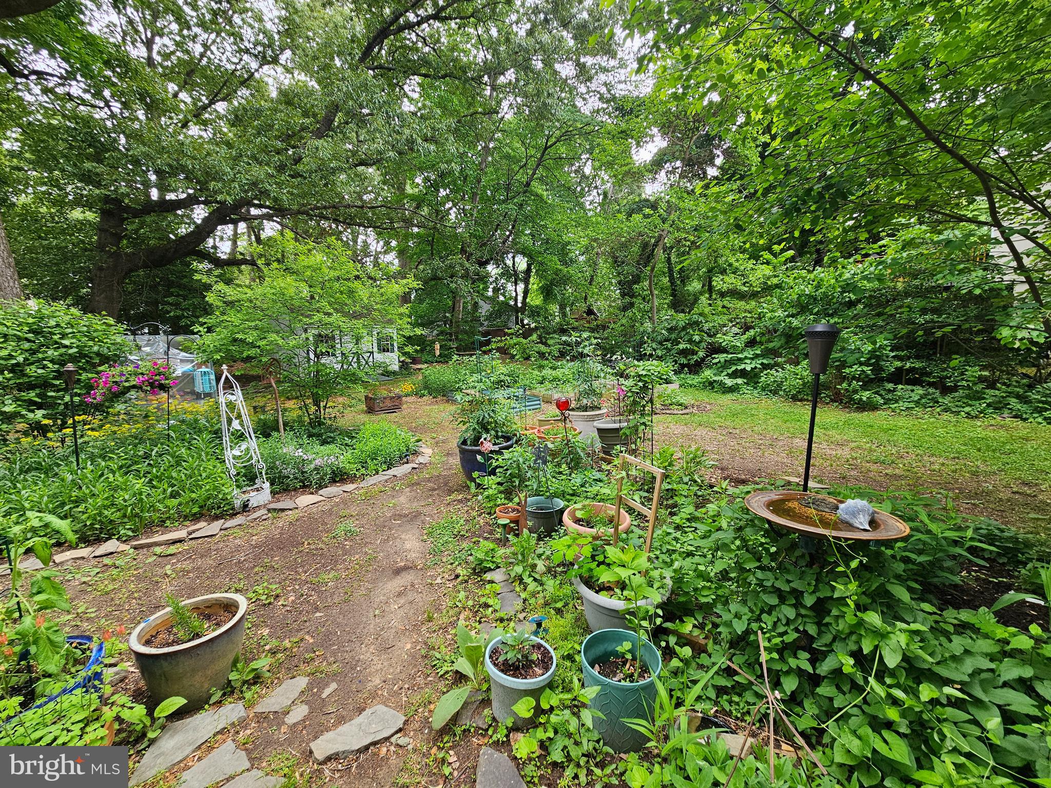 919 BLUE RIDGE DR