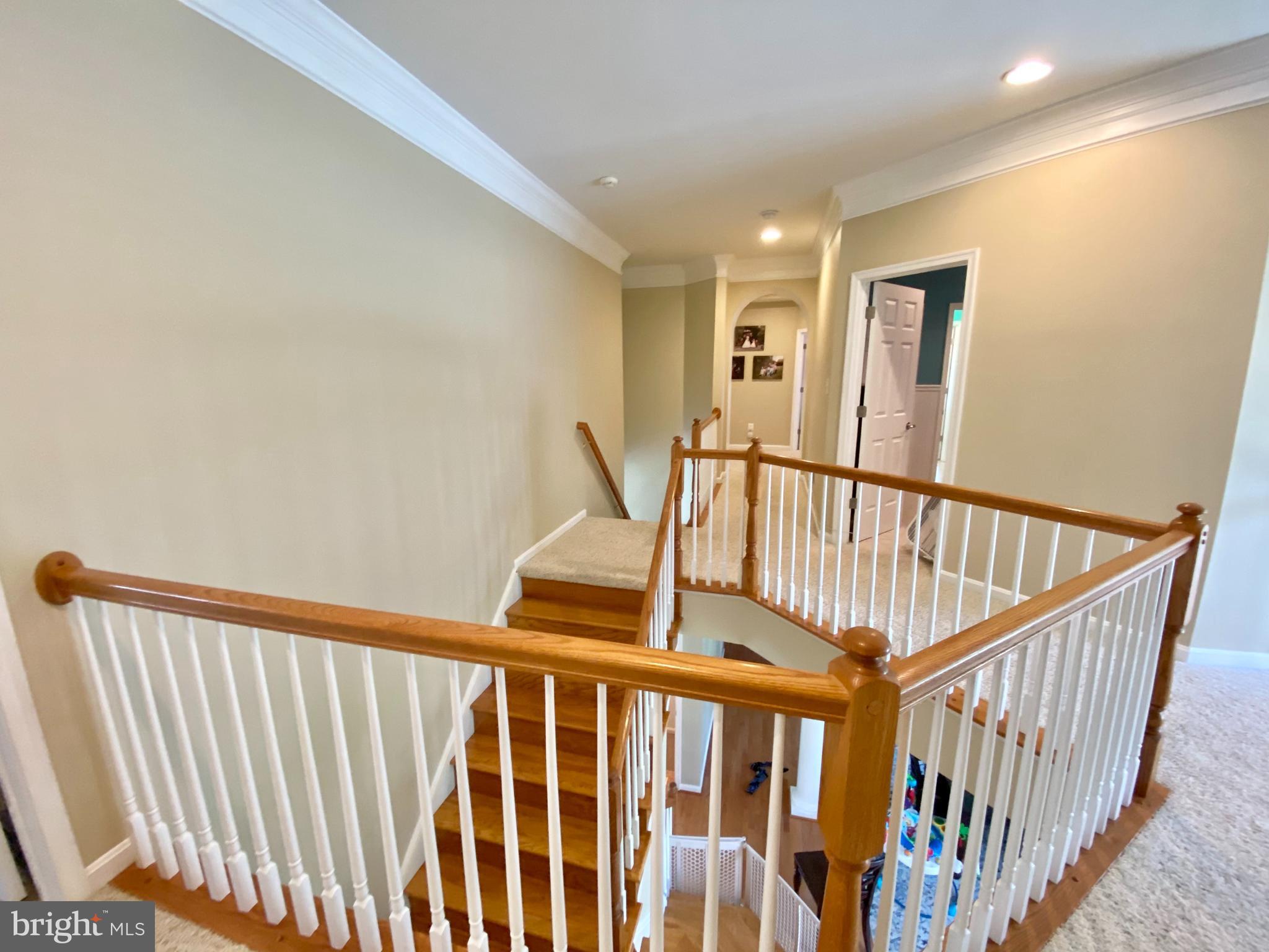 SADDLE VIEW - Residential