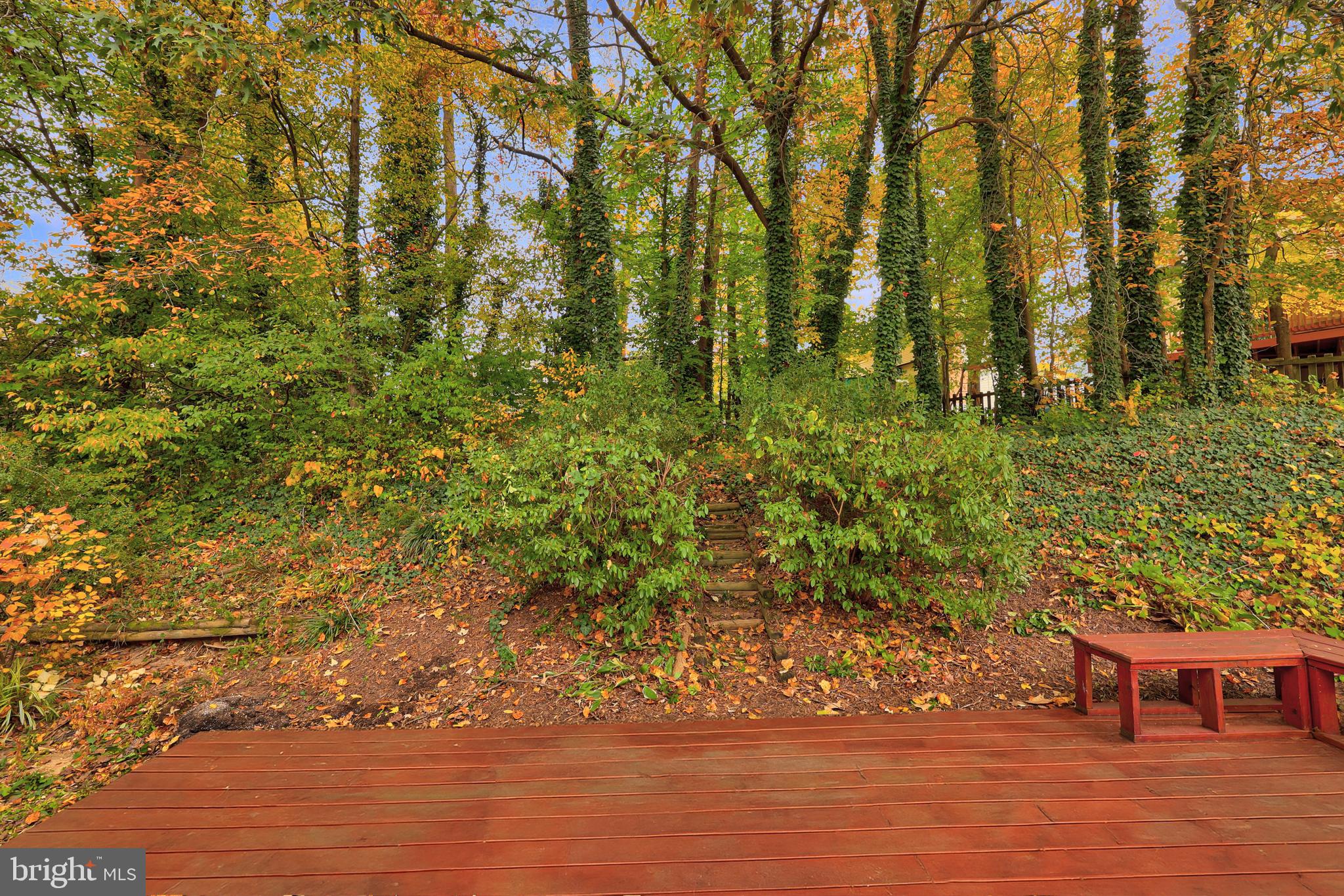 TARA HEIGHTS - Residential