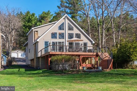 390 GLEN COVE ROAD SWANTON MD 21561