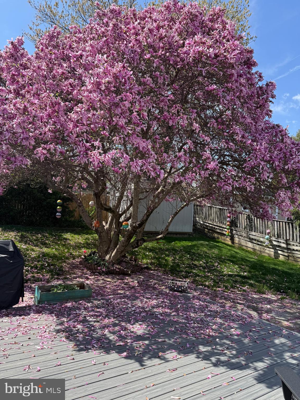 MAPLE HILL - Residential