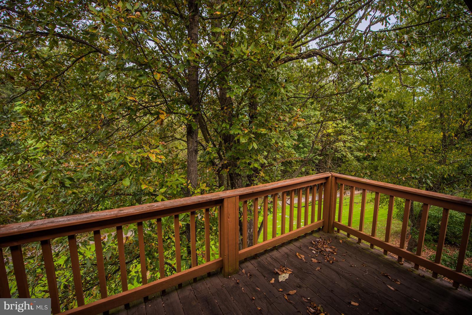 THE WOODS - Residential