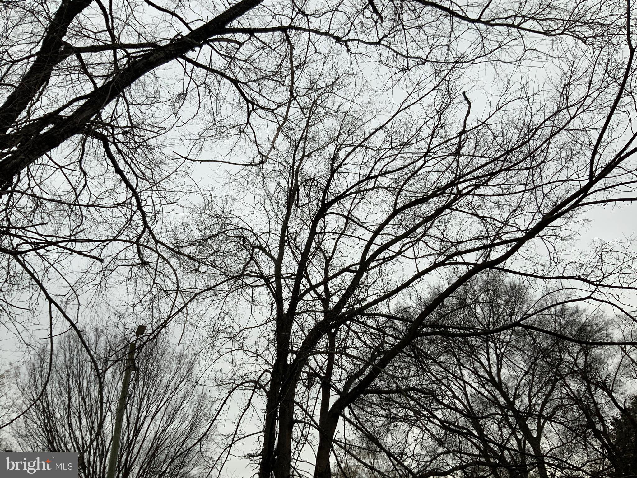 GEORGETOWN SOUTH - Residential