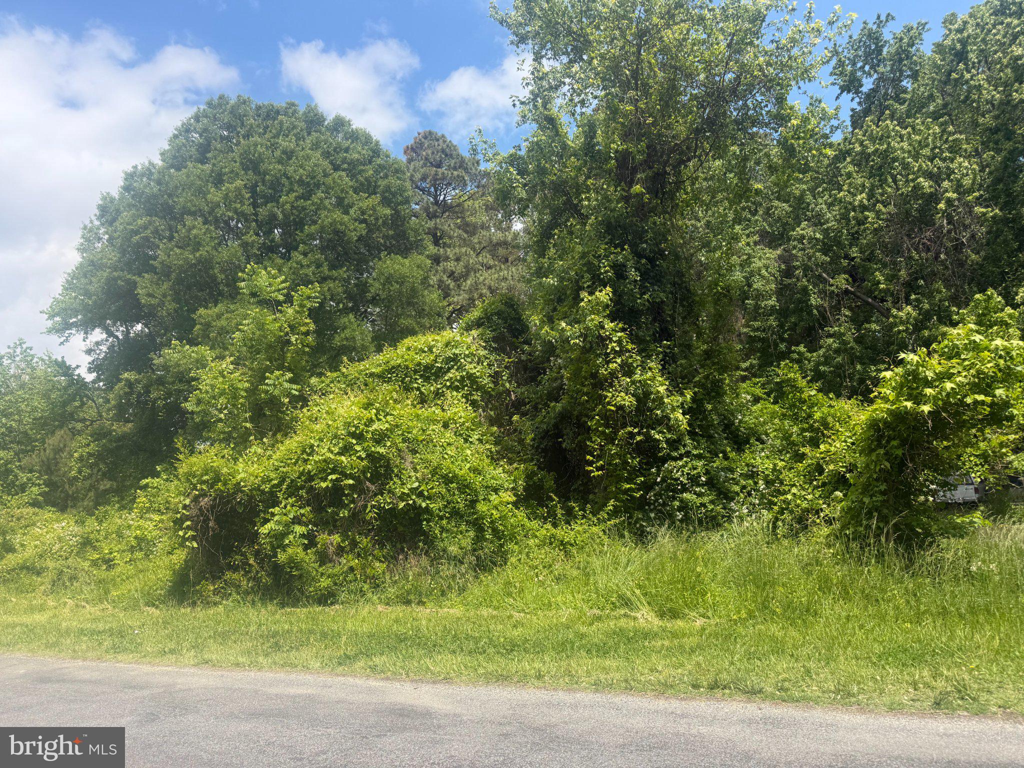 21190 GREEN LANE