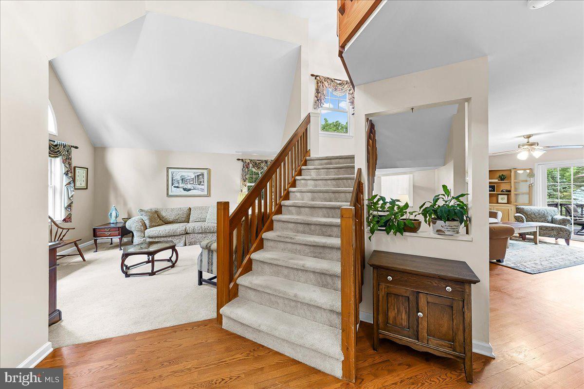 12 PEACH TREE LANE