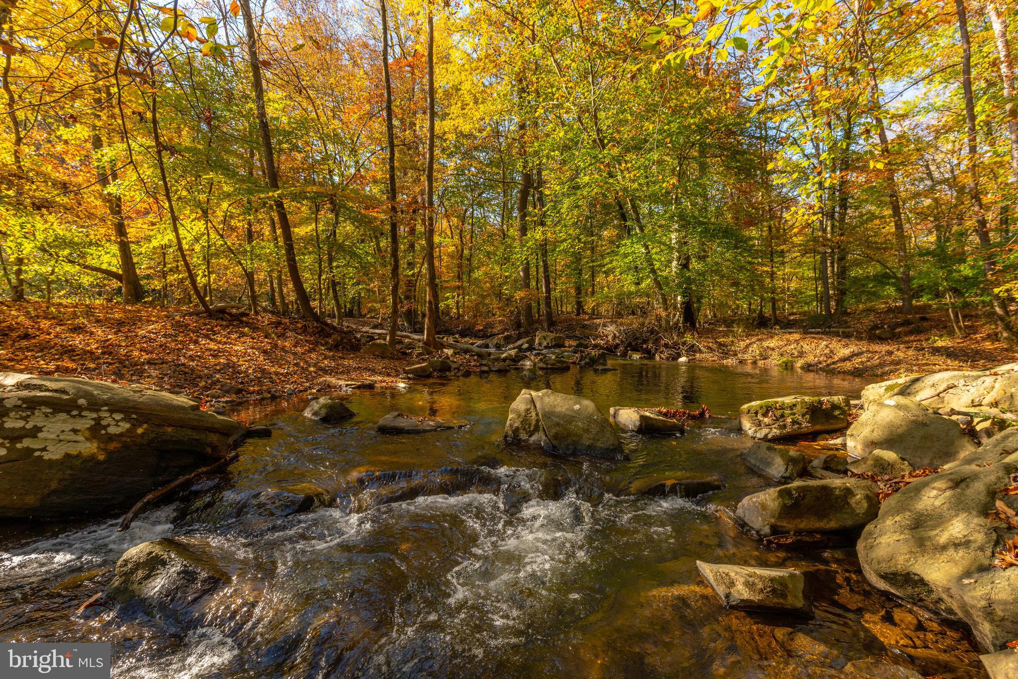 RADNOR HUNT - Residential