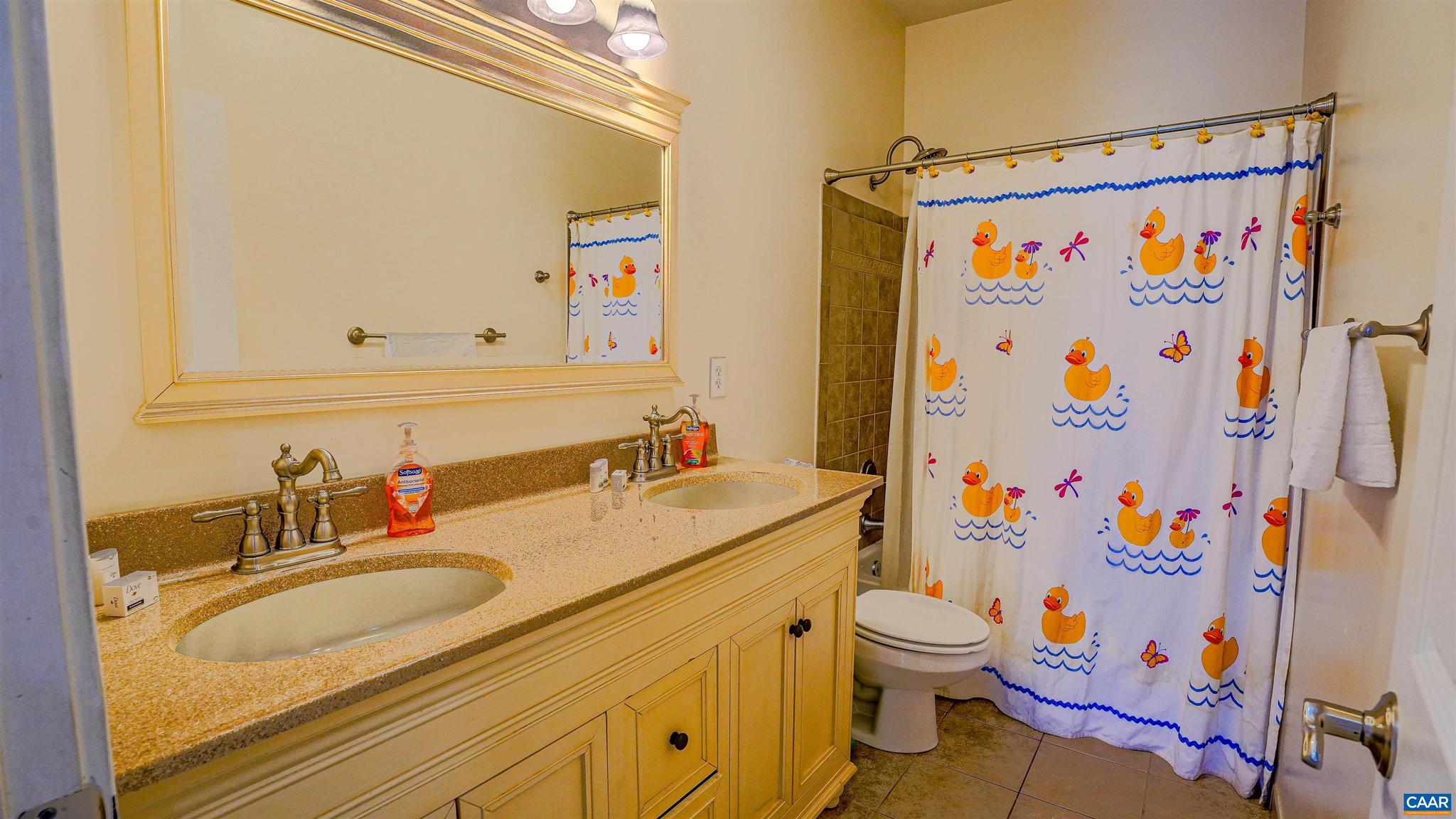 THE WATERS AT LAKE ANNA - Residential