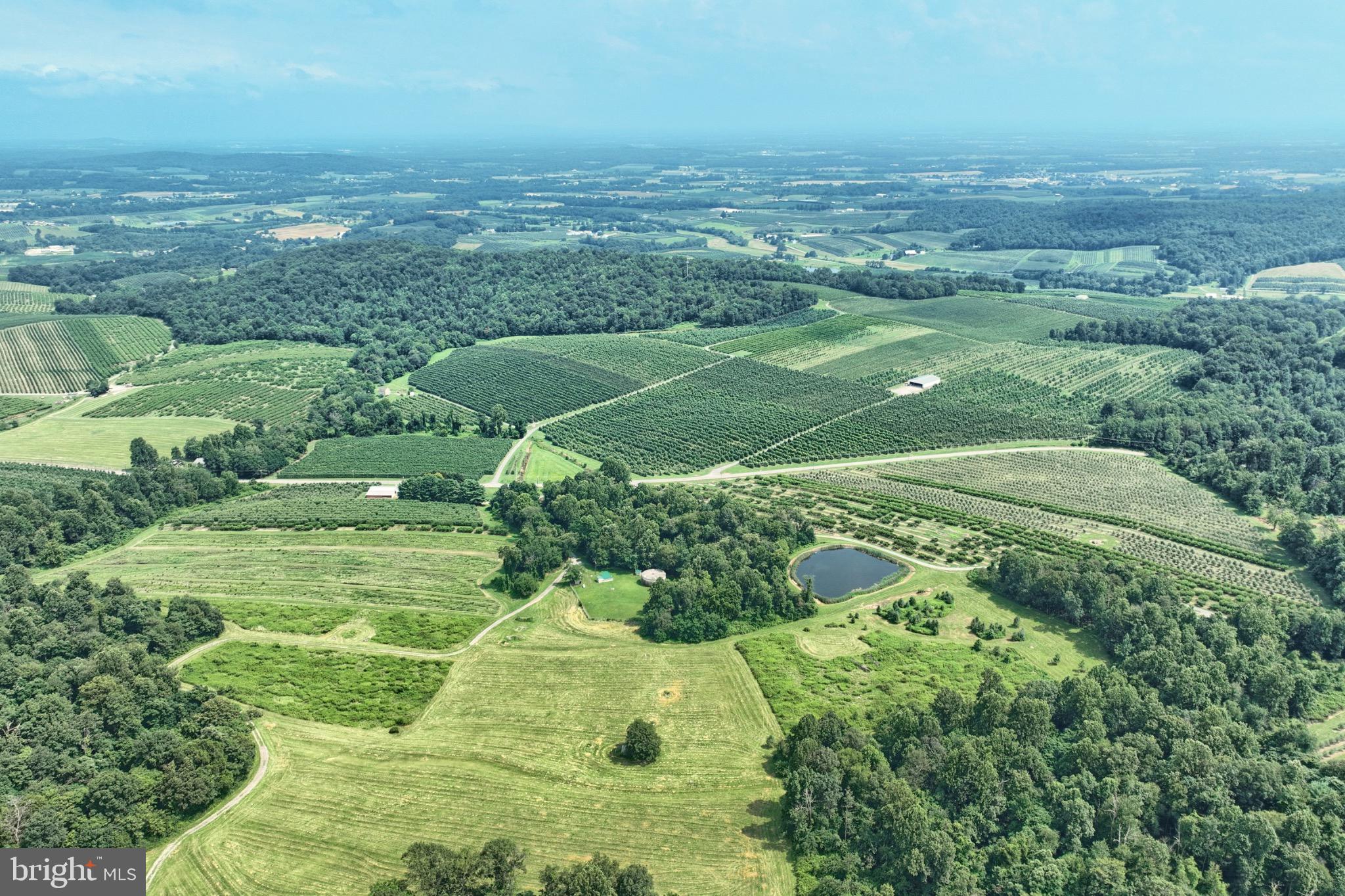 Established Fruit Farm in Upper Adams. Property offers over 100 acres with farm house and outbuildings.