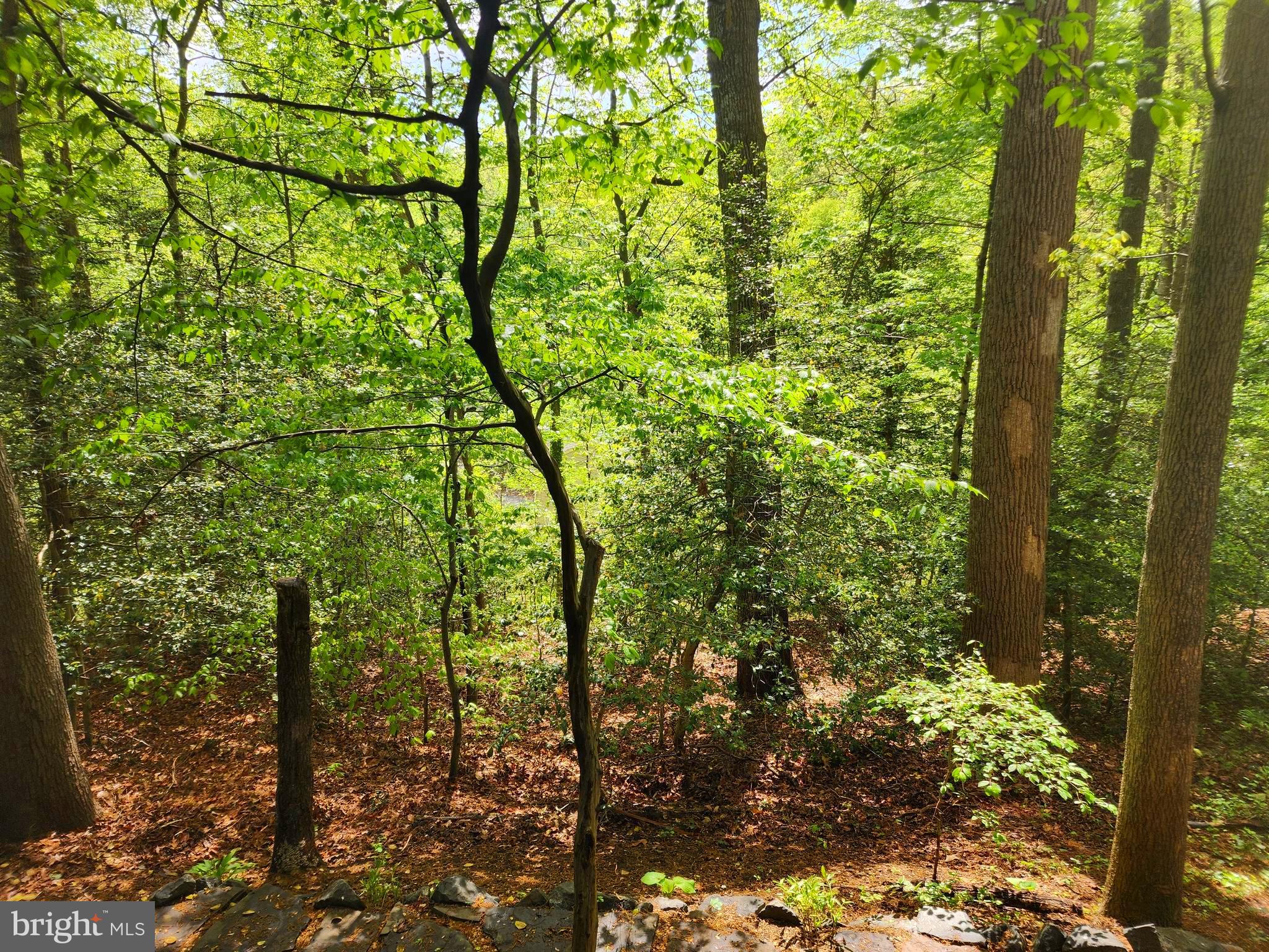 440 BOBWHITE TRAIL