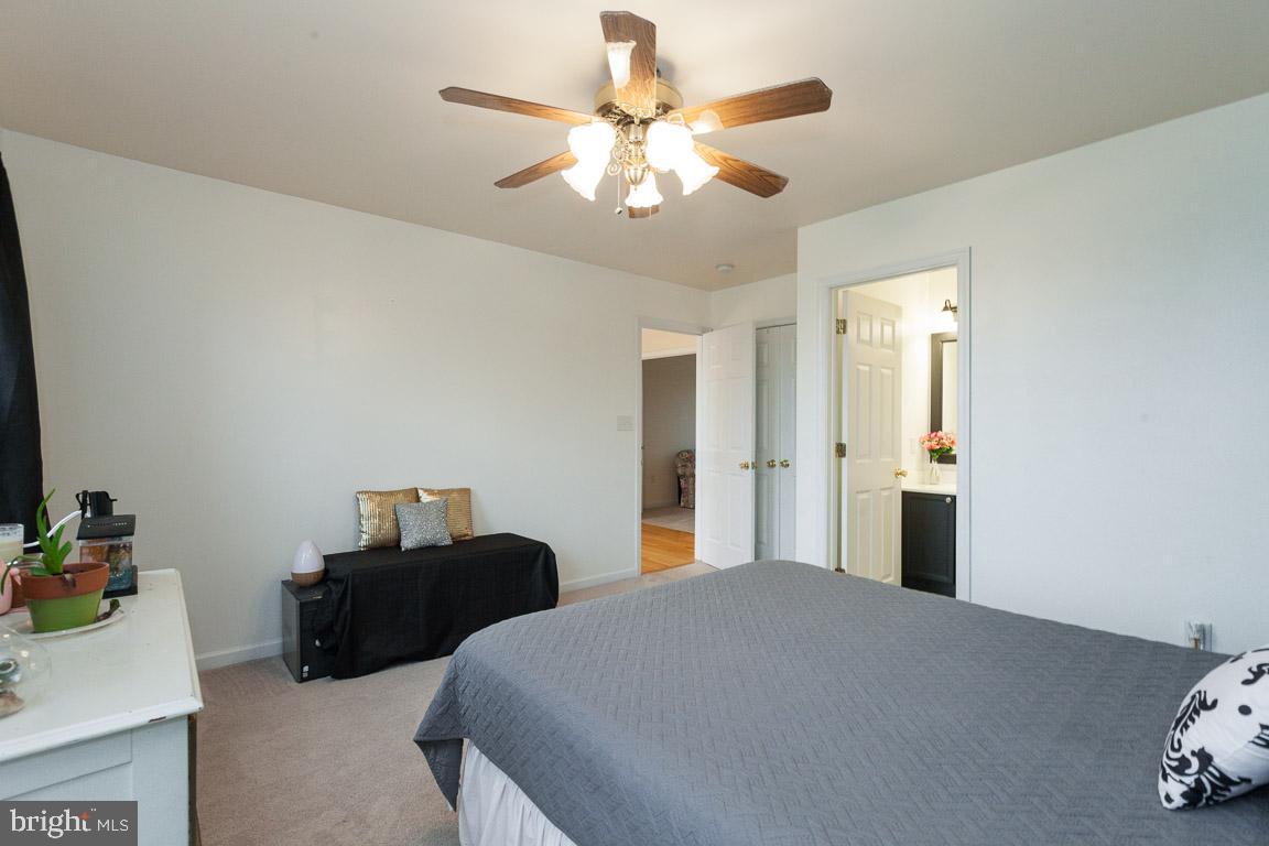 SPRUCE HILL ESTATES - Residential