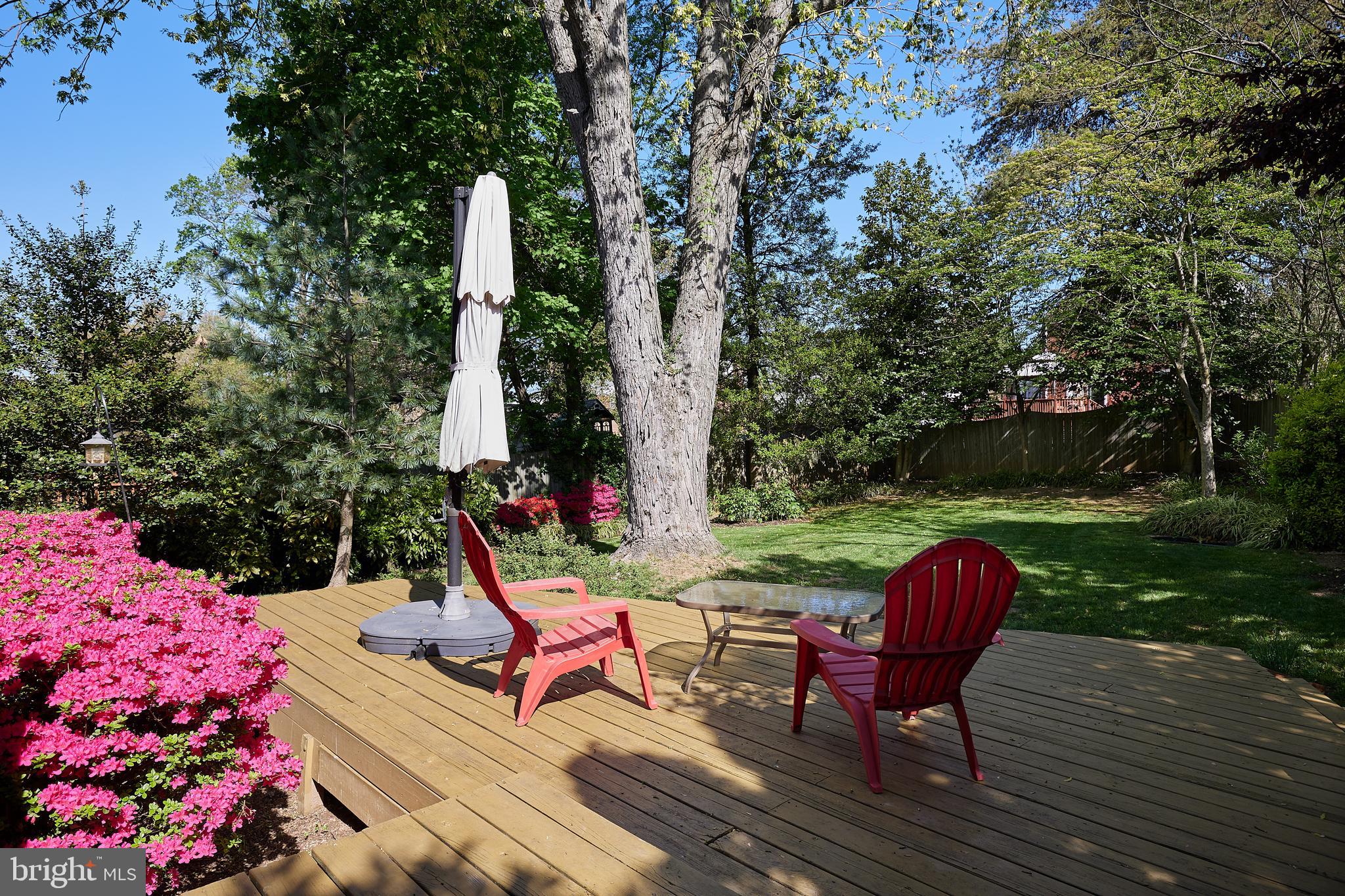 WHEATON HILLS - Residential