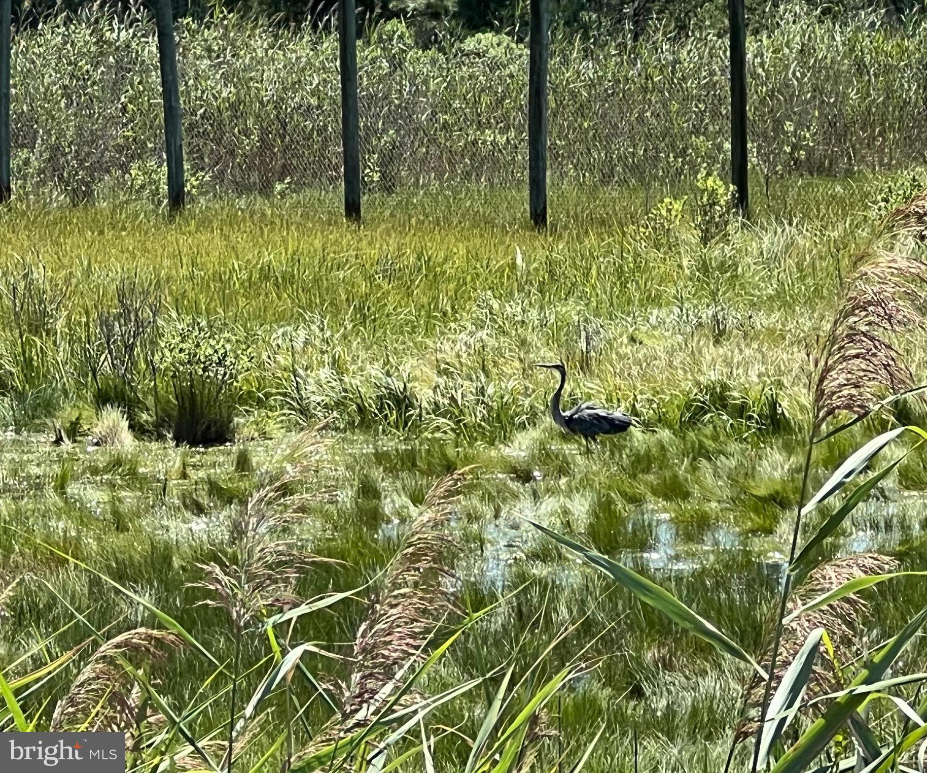 ASSATEAGUE PT RESORT - Residential