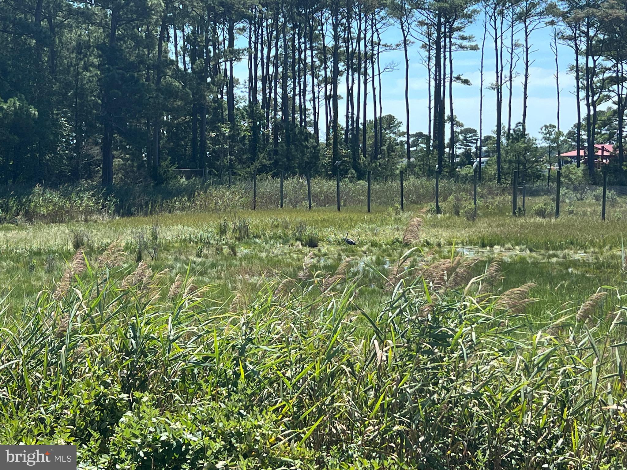 ASSATEAGUE PT RESORT - Residential